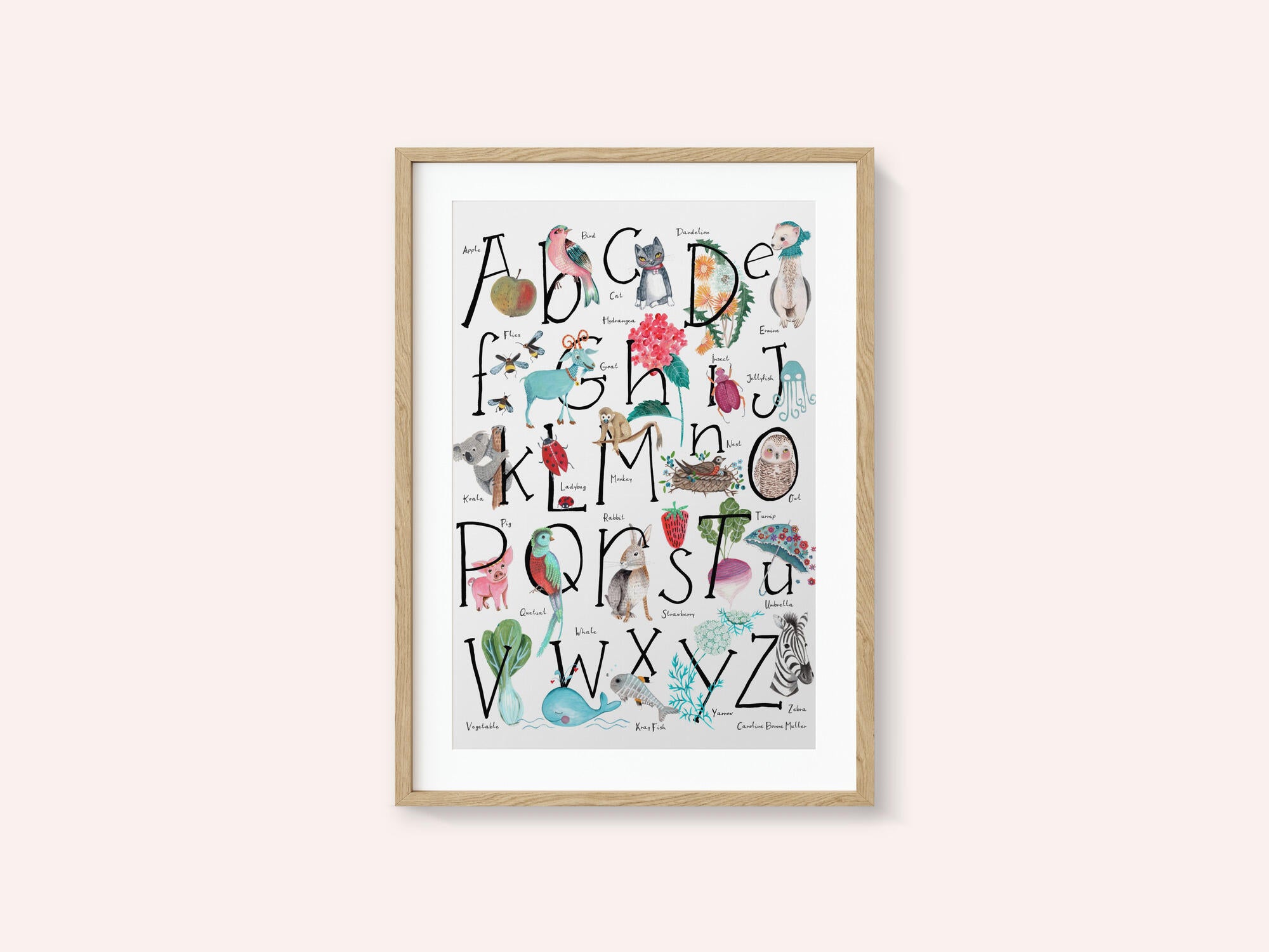 ABC illustration