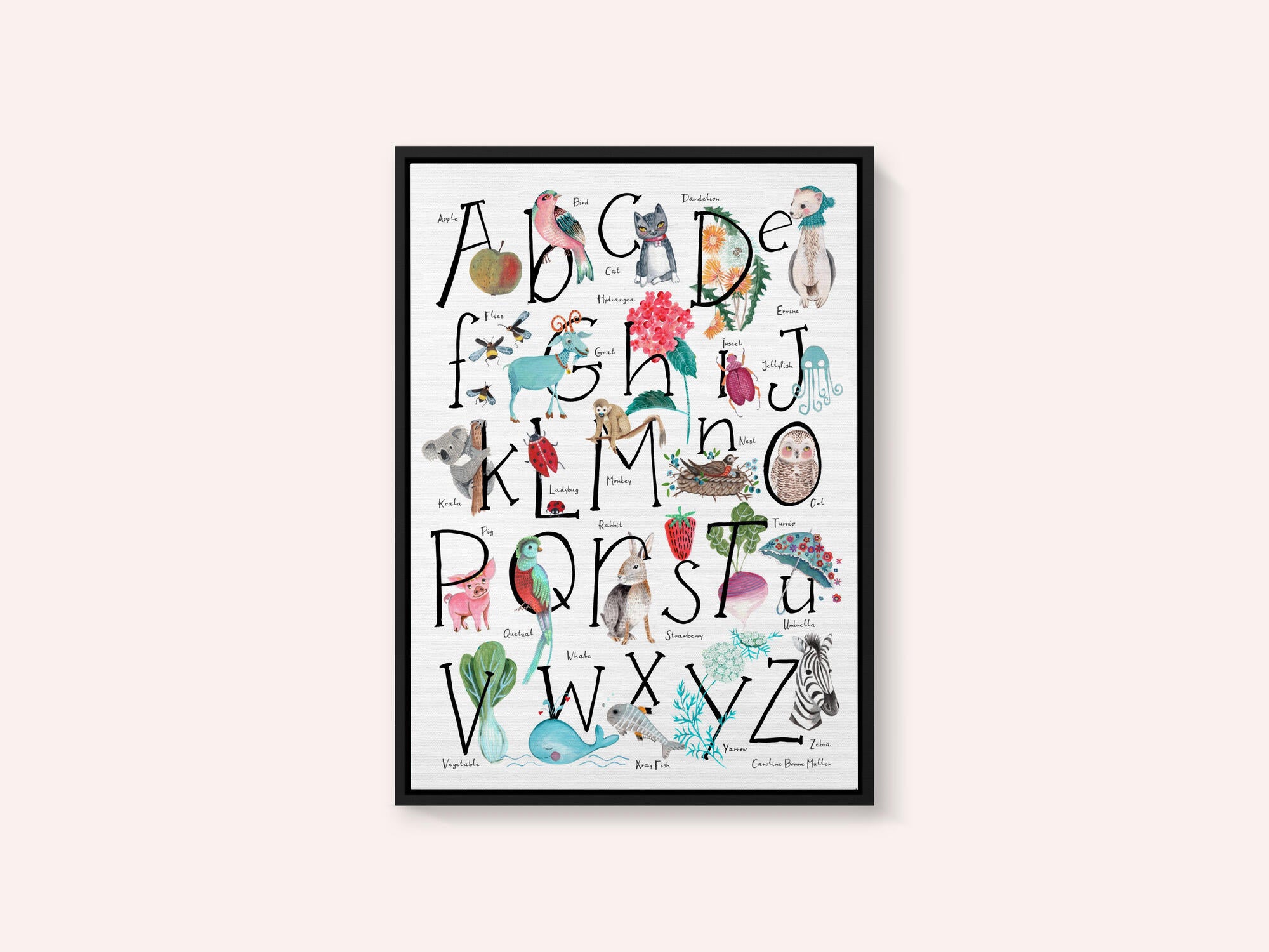 ABC illustration