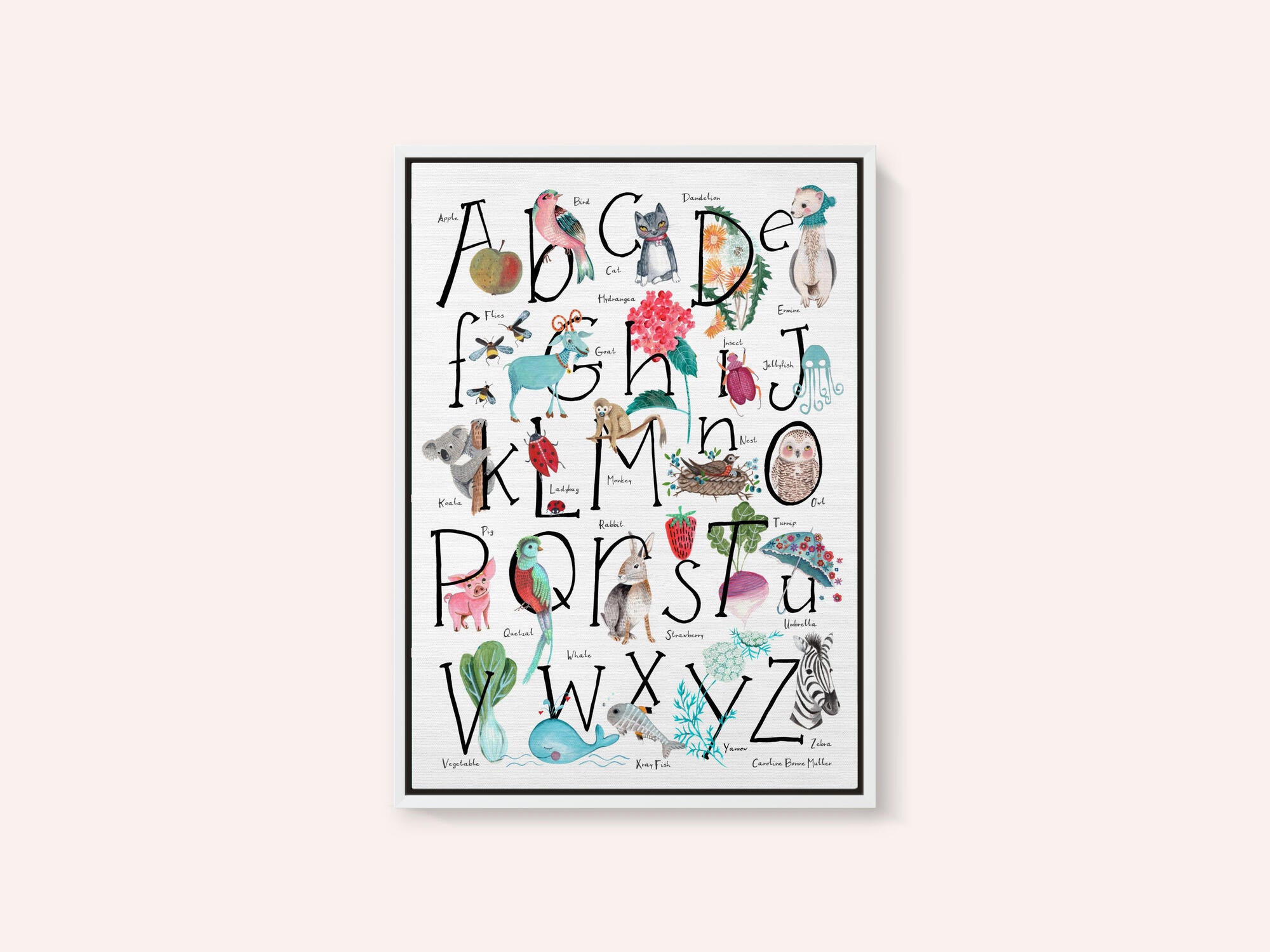 ABC illustration