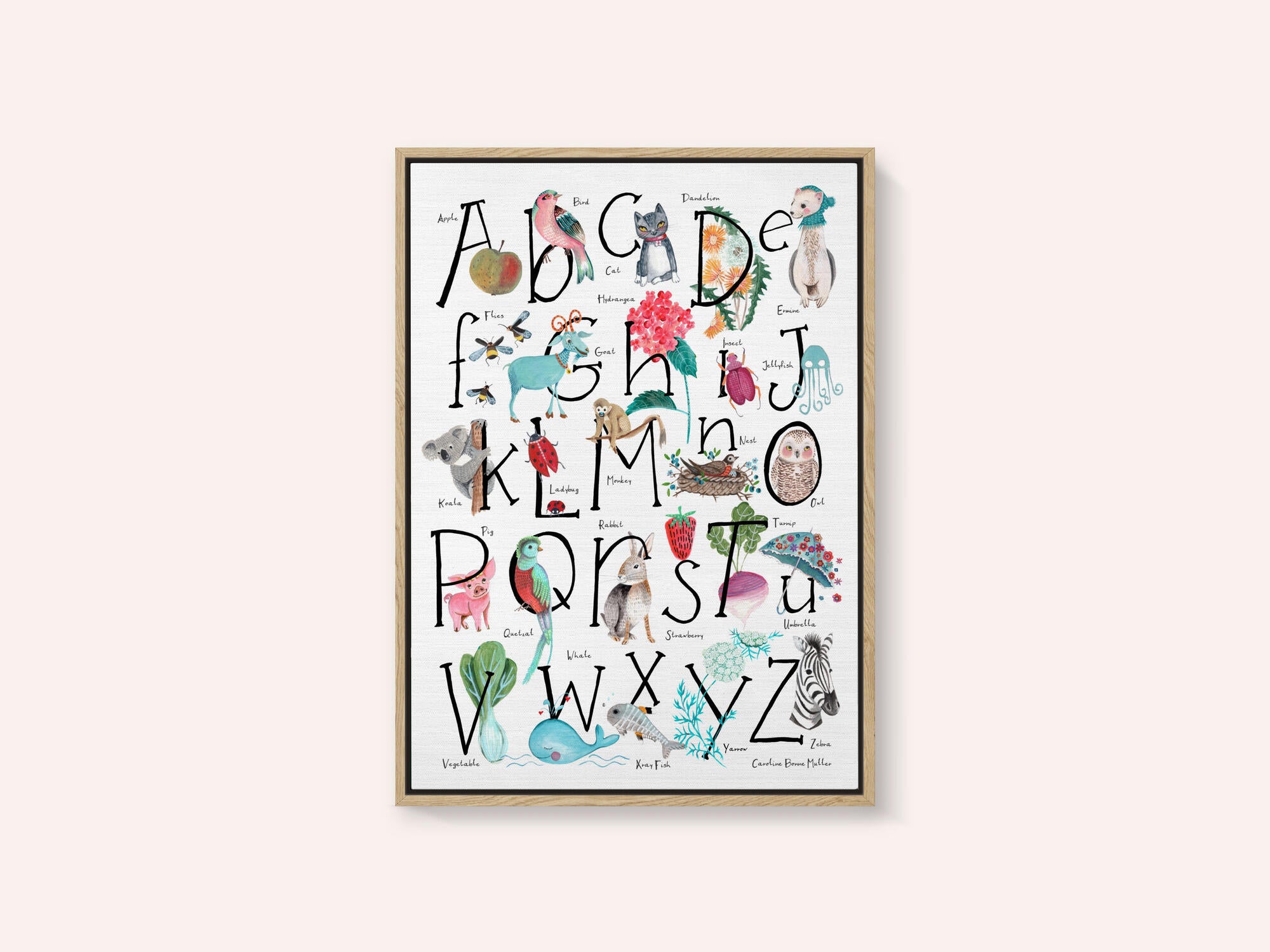 ABC illustration