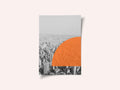 Urban Sunset Hues