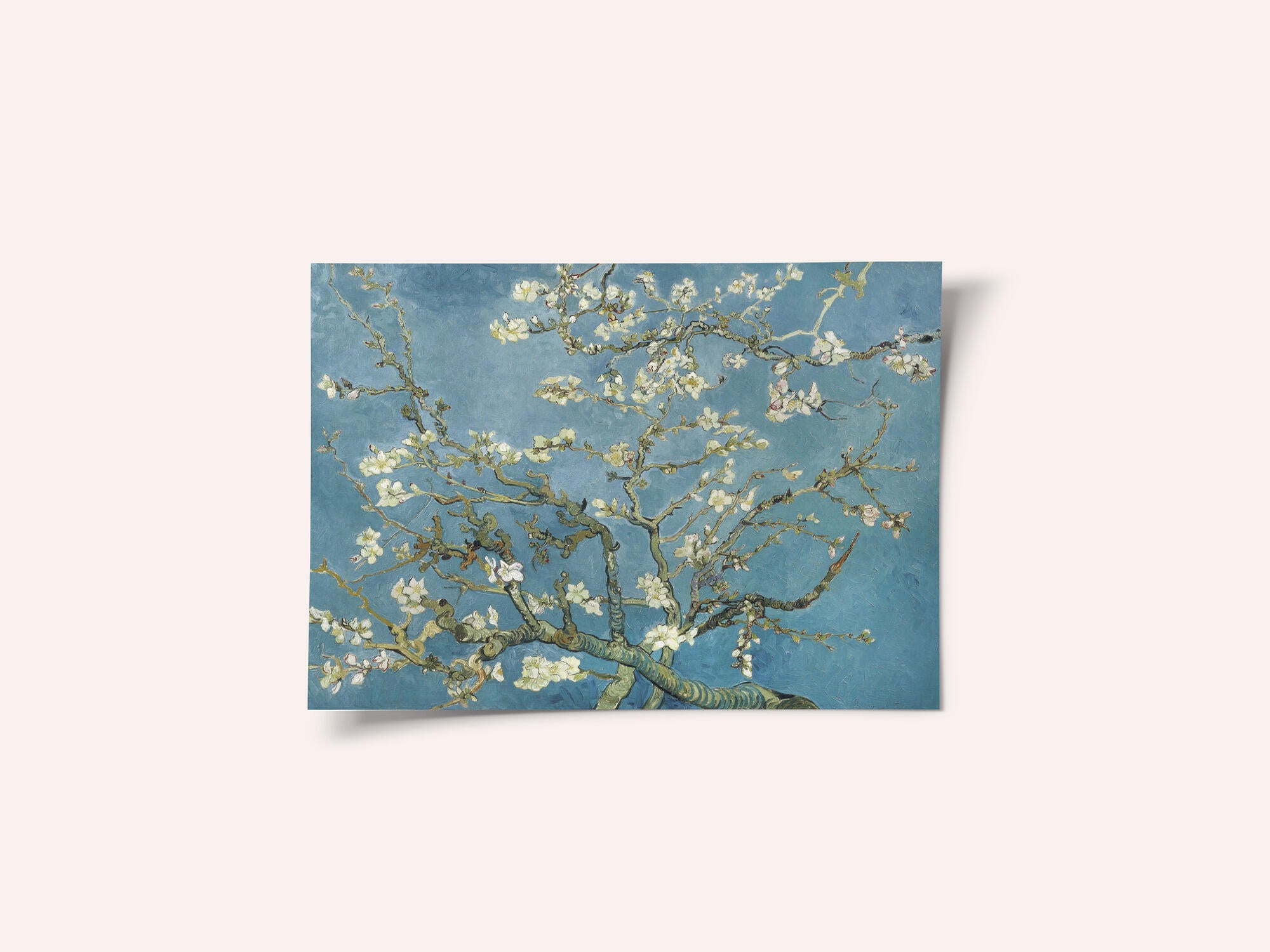 Vincent Van Gogh's Almond Blossom (1890)
