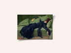 Jove Decadent