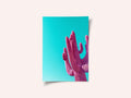 Magenta Pink Saguaro