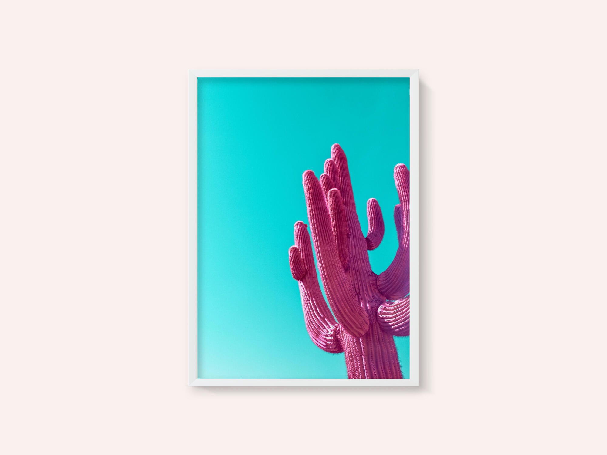 Magenta Pink Saguaro