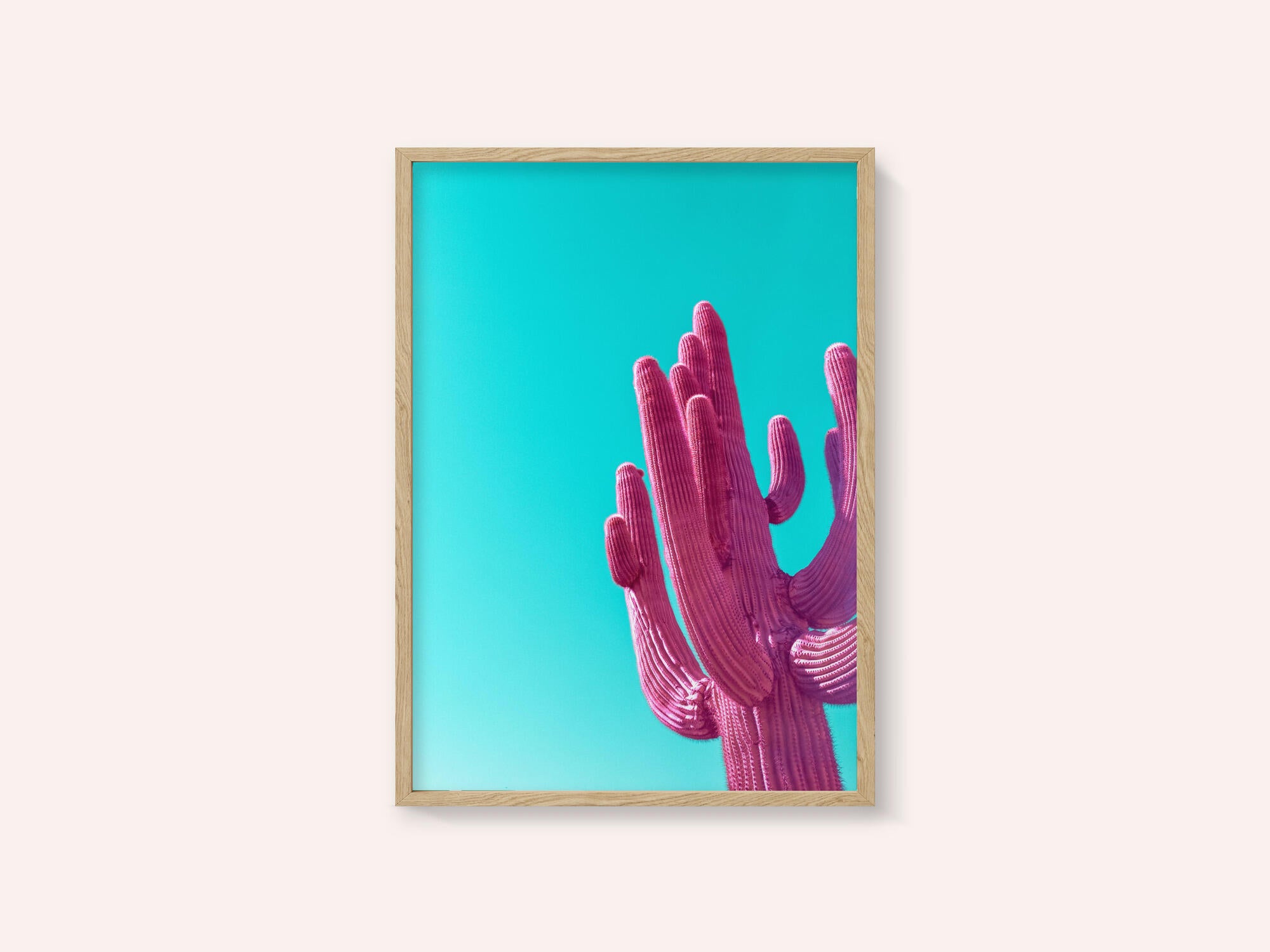 Magenta Pink Saguaro