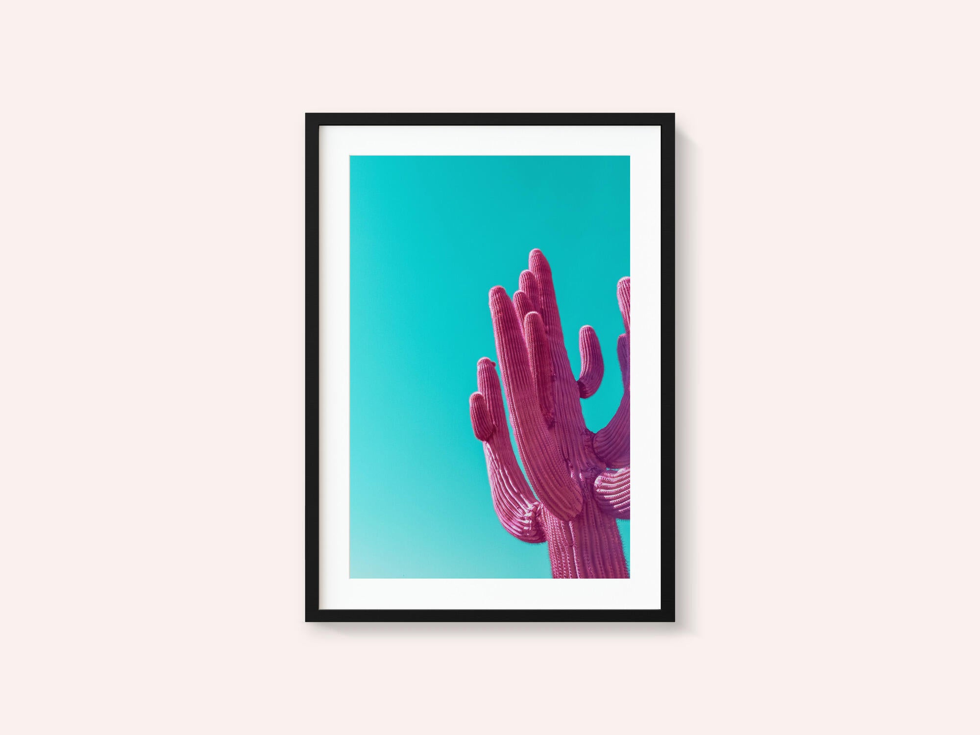 Magenta Pink Saguaro