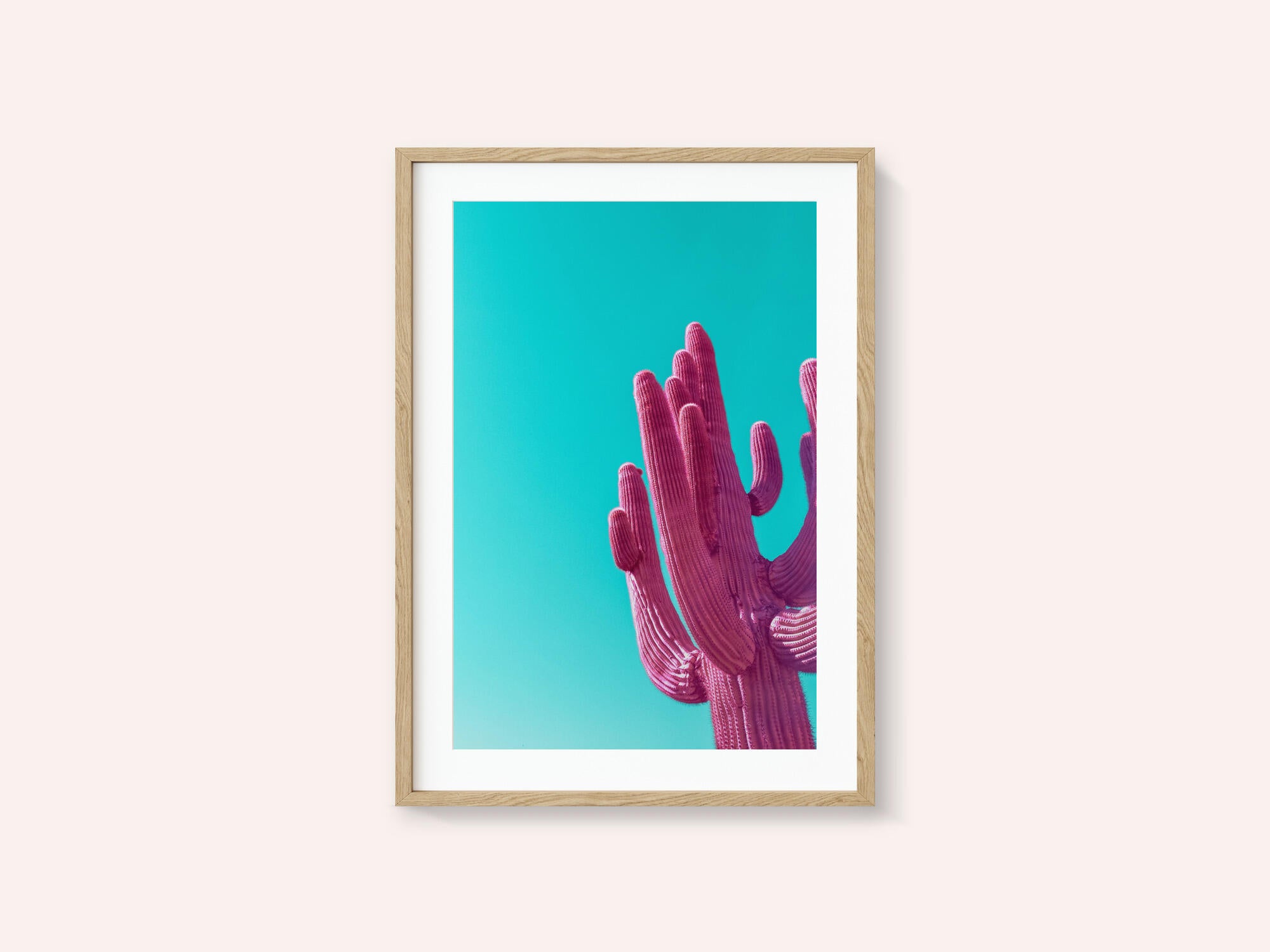 Magenta Pink Saguaro