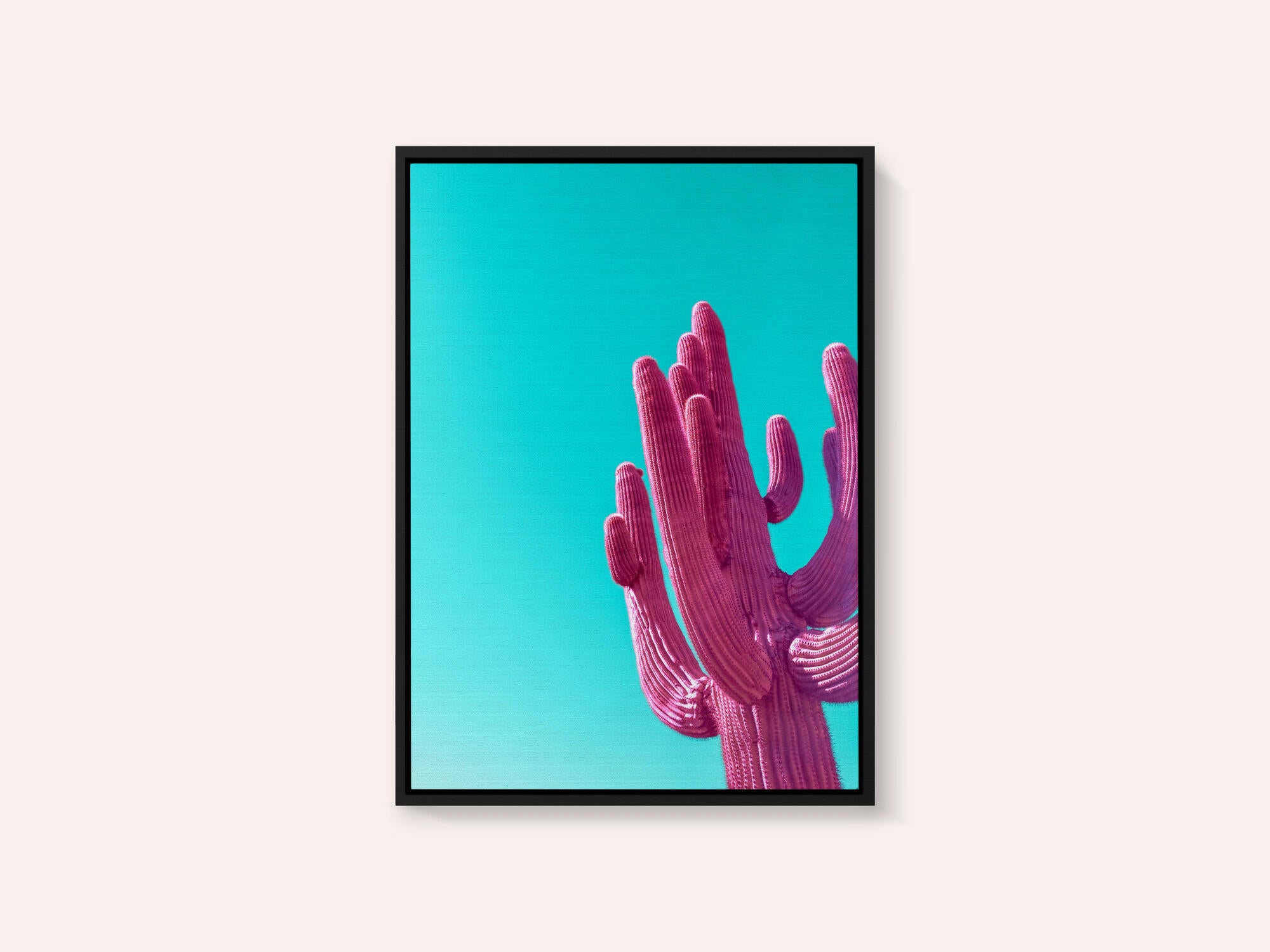 Magenta Pink Saguaro