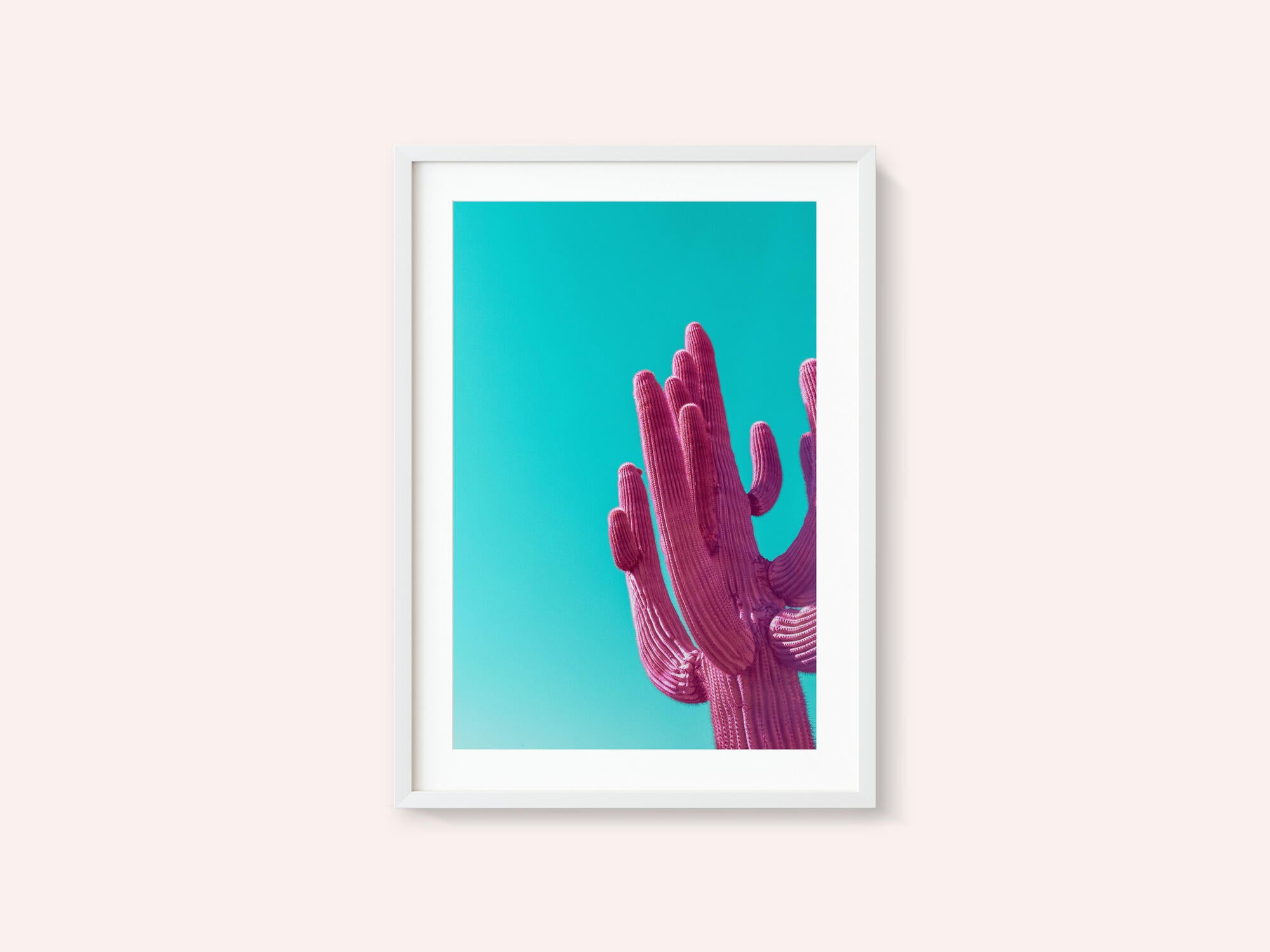Magenta Pink Saguaro