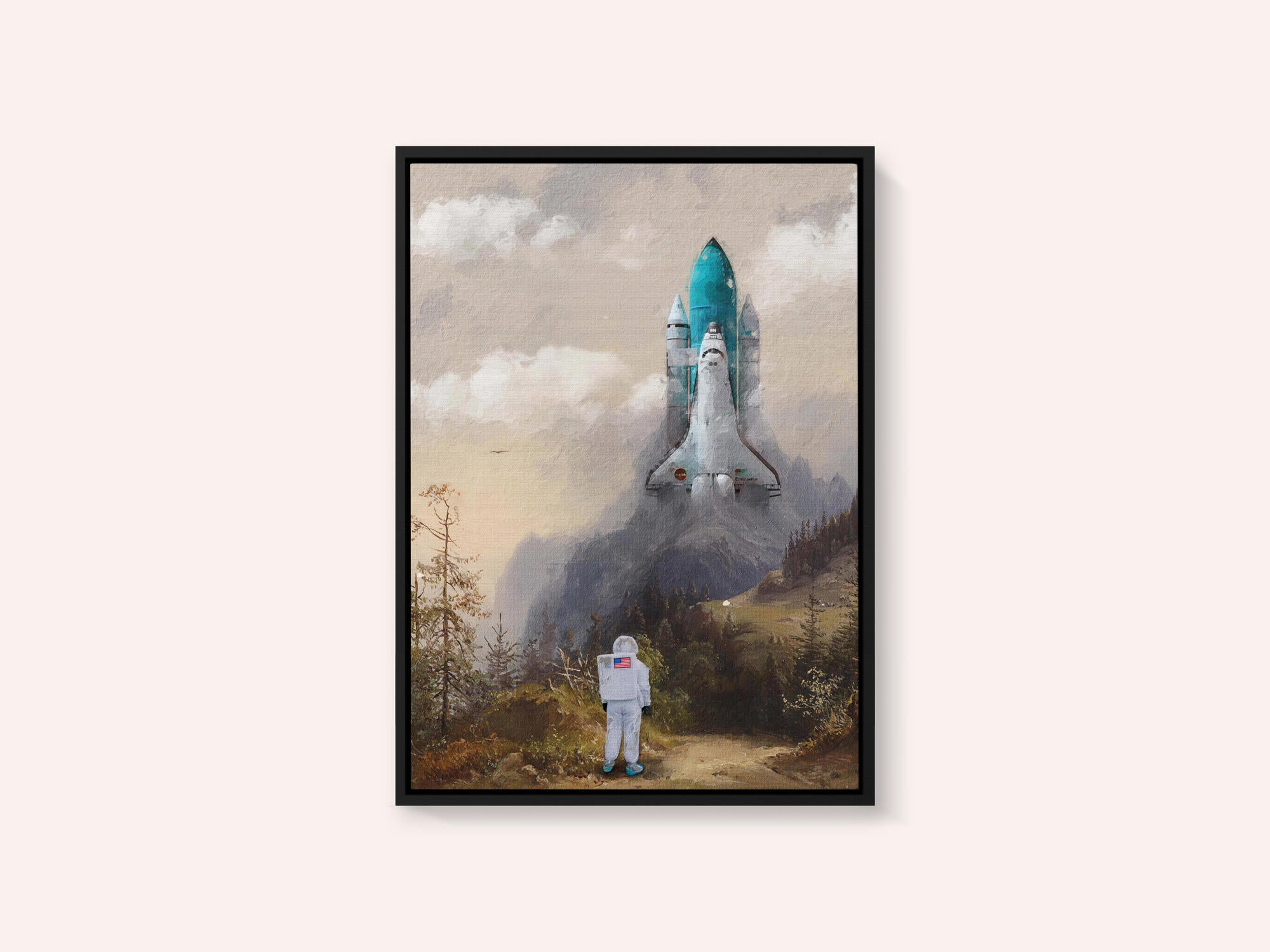 Missed the Shuttle