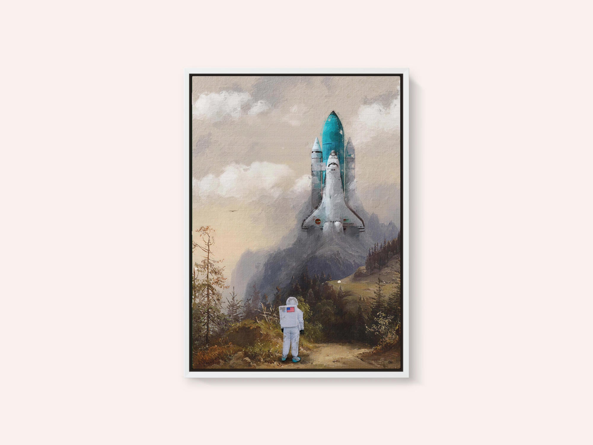 Missed the Shuttle