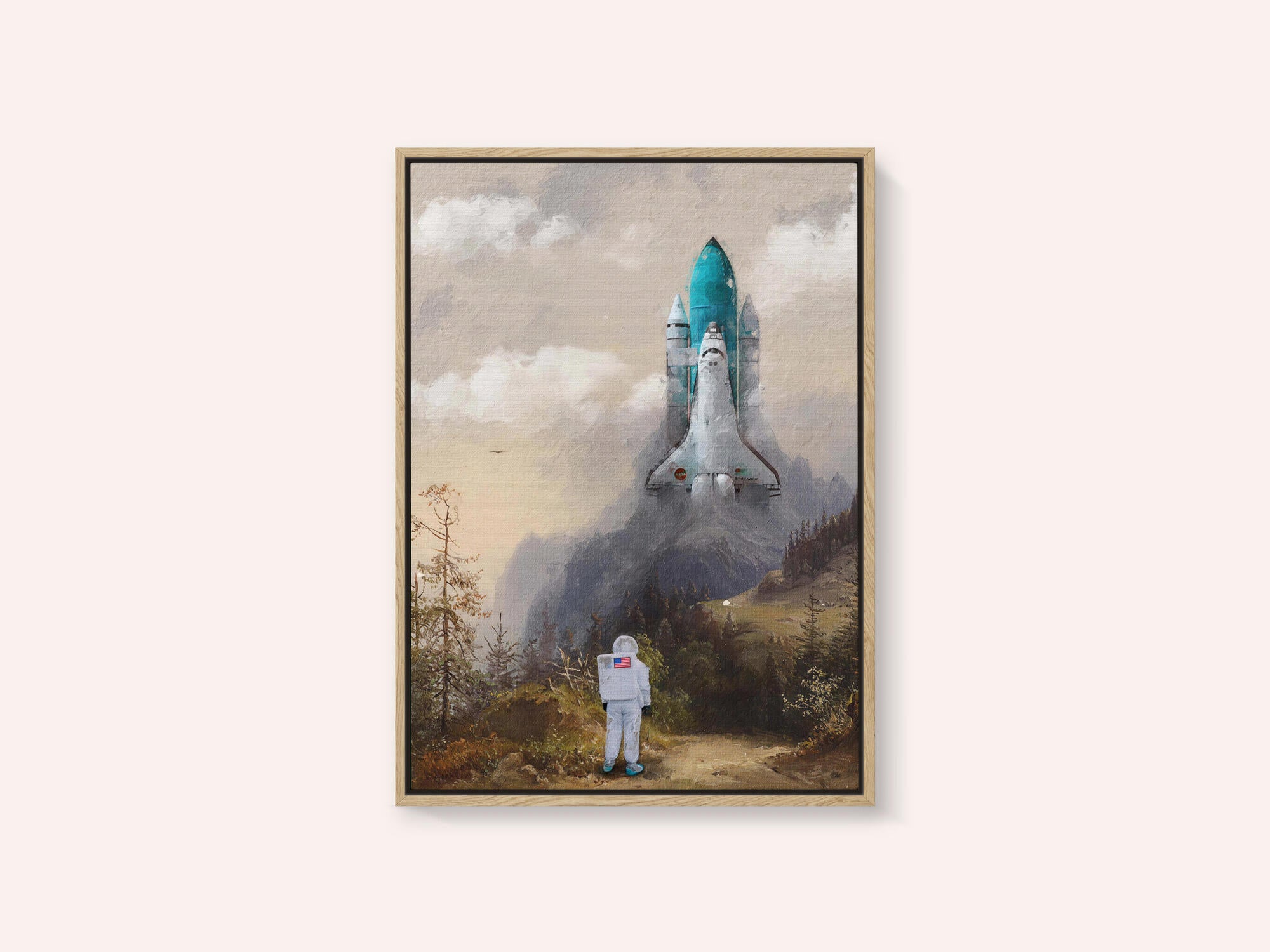 Missed the Shuttle