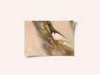 Subtle- Coastal Dunes