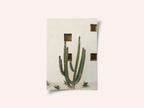 Cabo Cactus IX