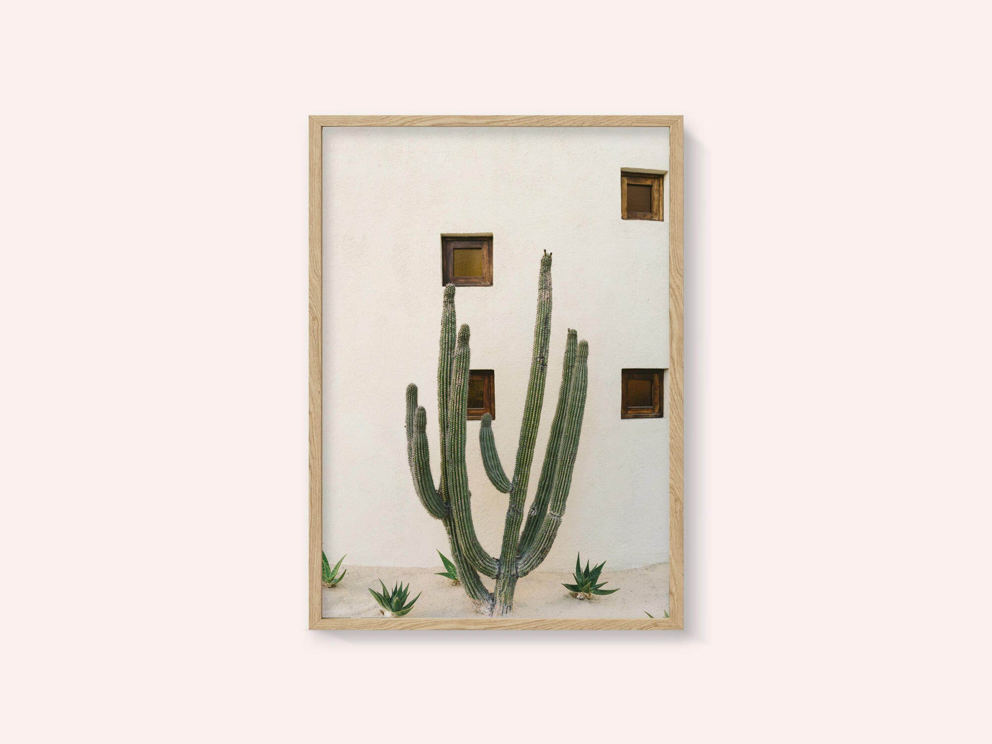 Cabo Cactus IX