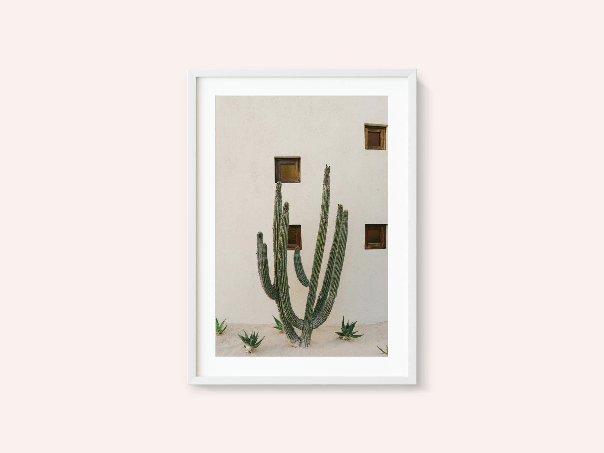 Cabo Cactus IX