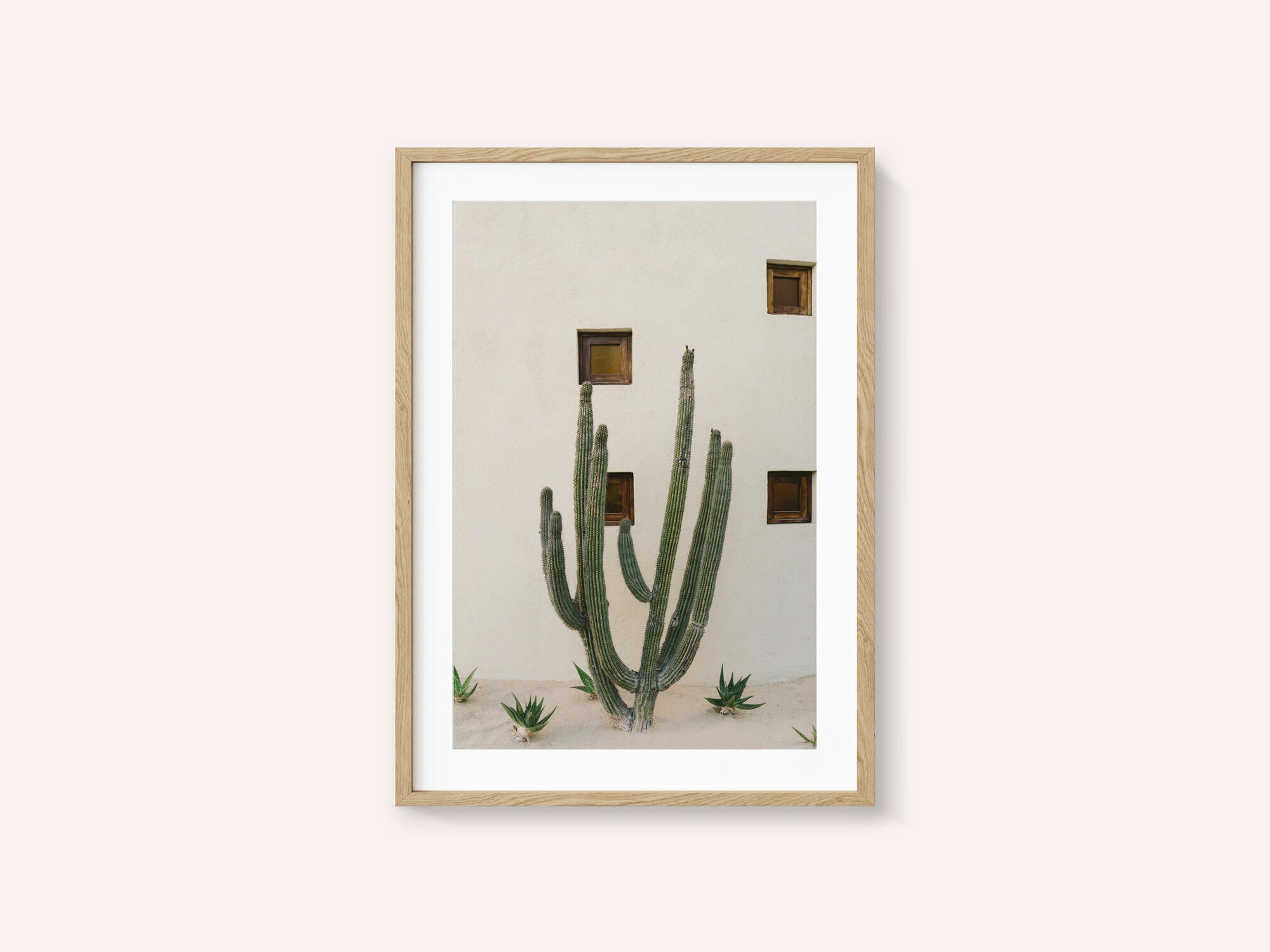 Cabo Cactus IX