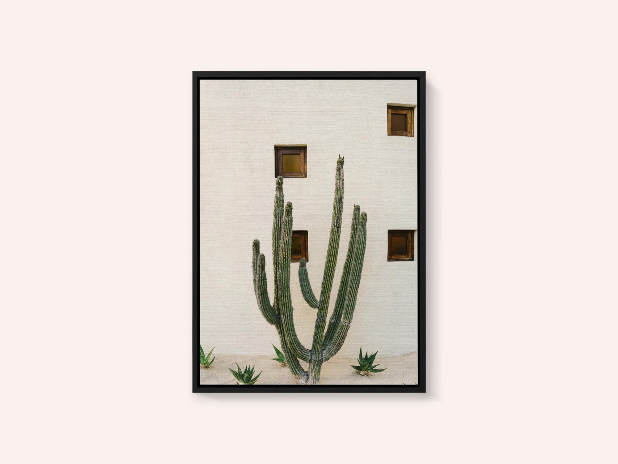 Cabo Cactus IX