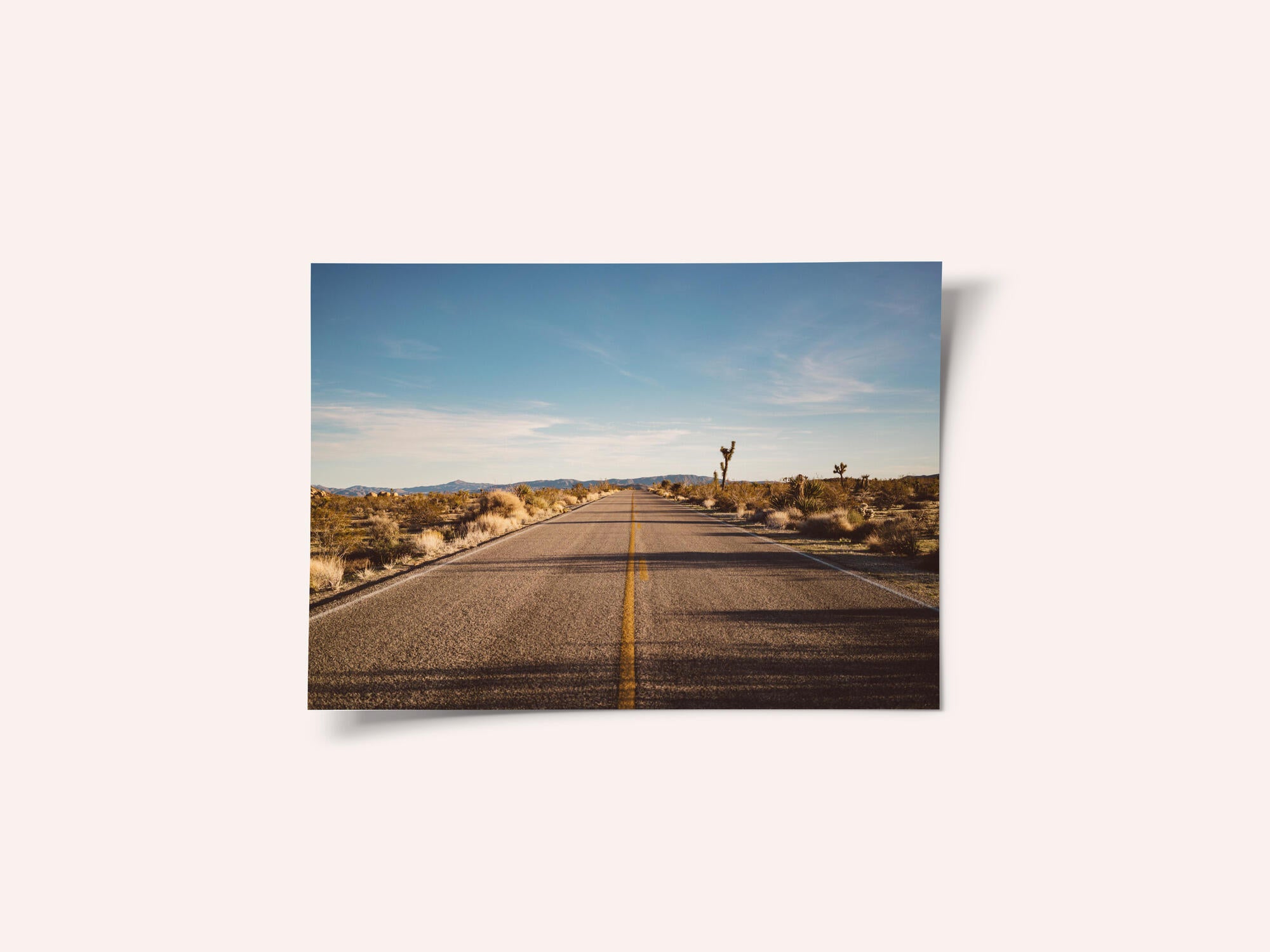 Joshua Tree Road