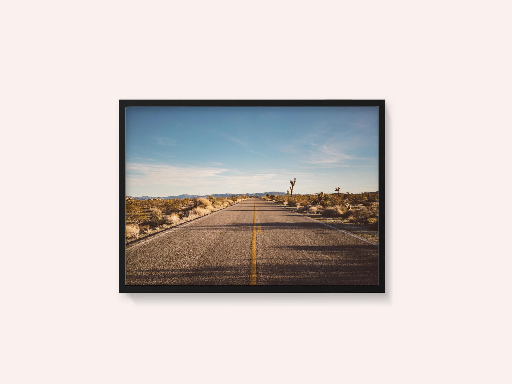 Joshua Tree Road
