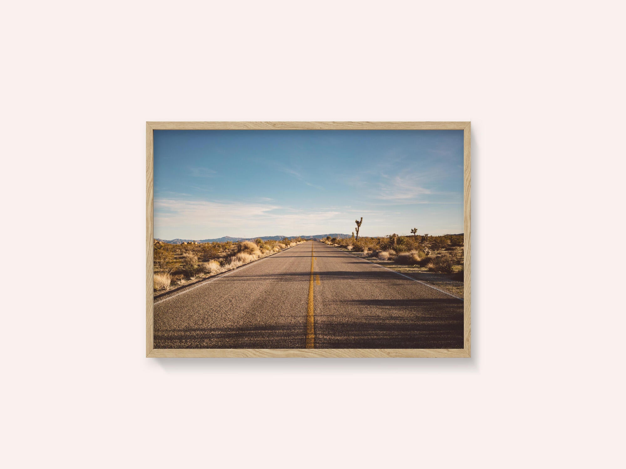 Joshua Tree Road