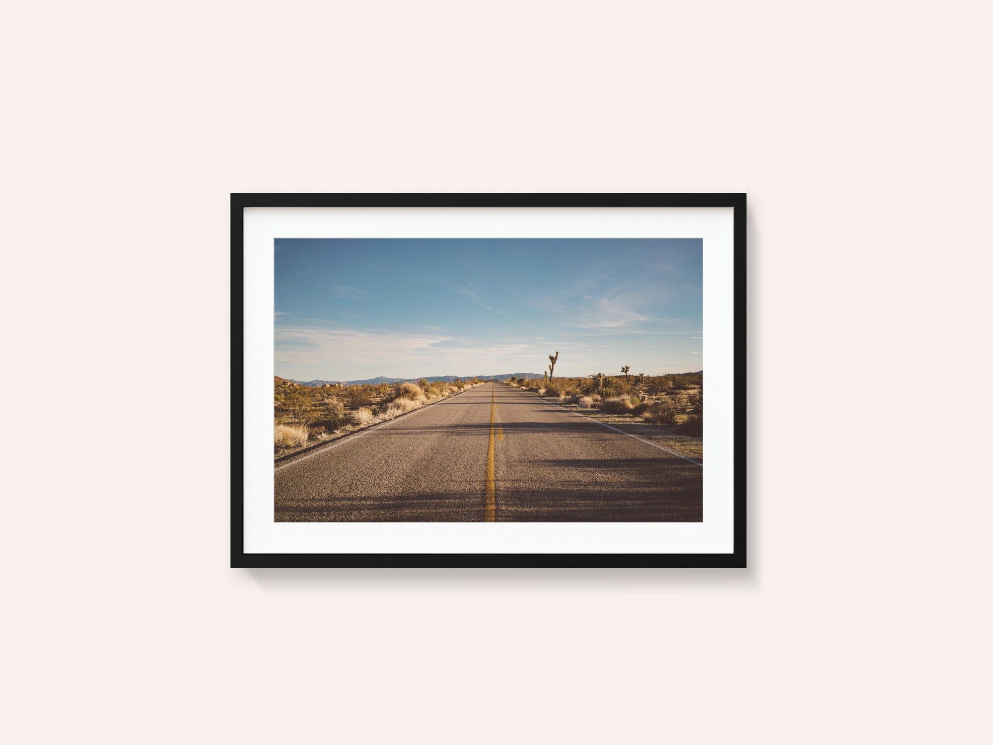 Joshua Tree Road