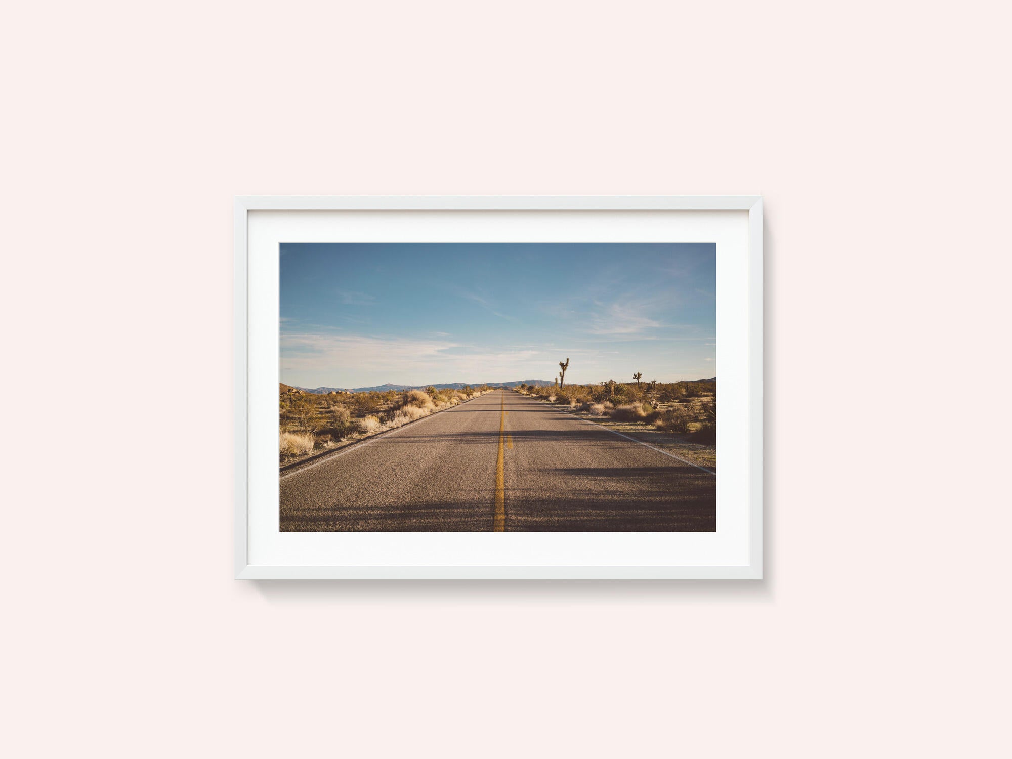Joshua Tree Road