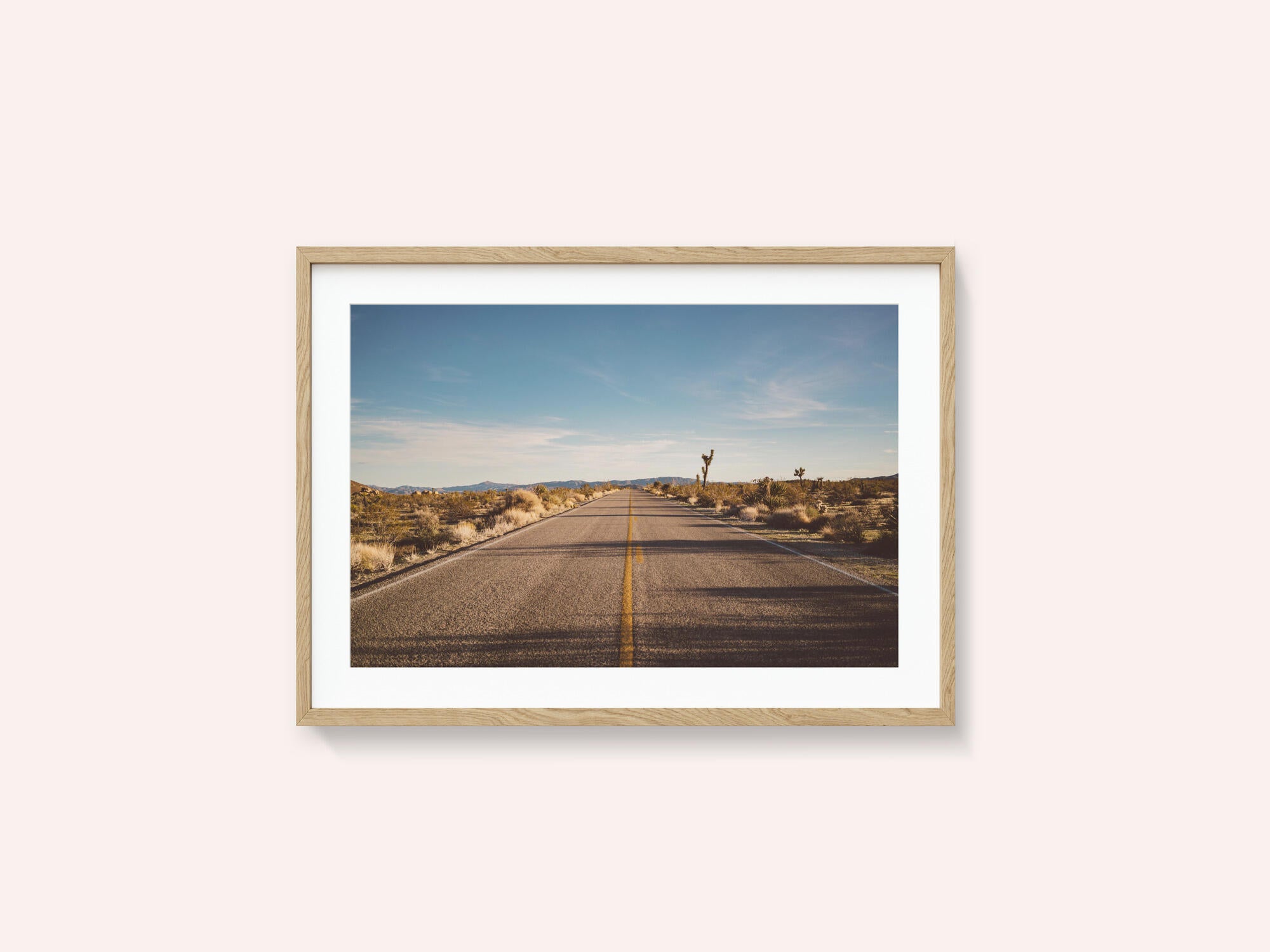 Joshua Tree Road