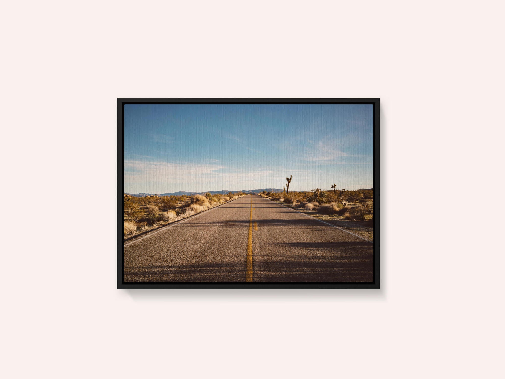 Joshua Tree Road