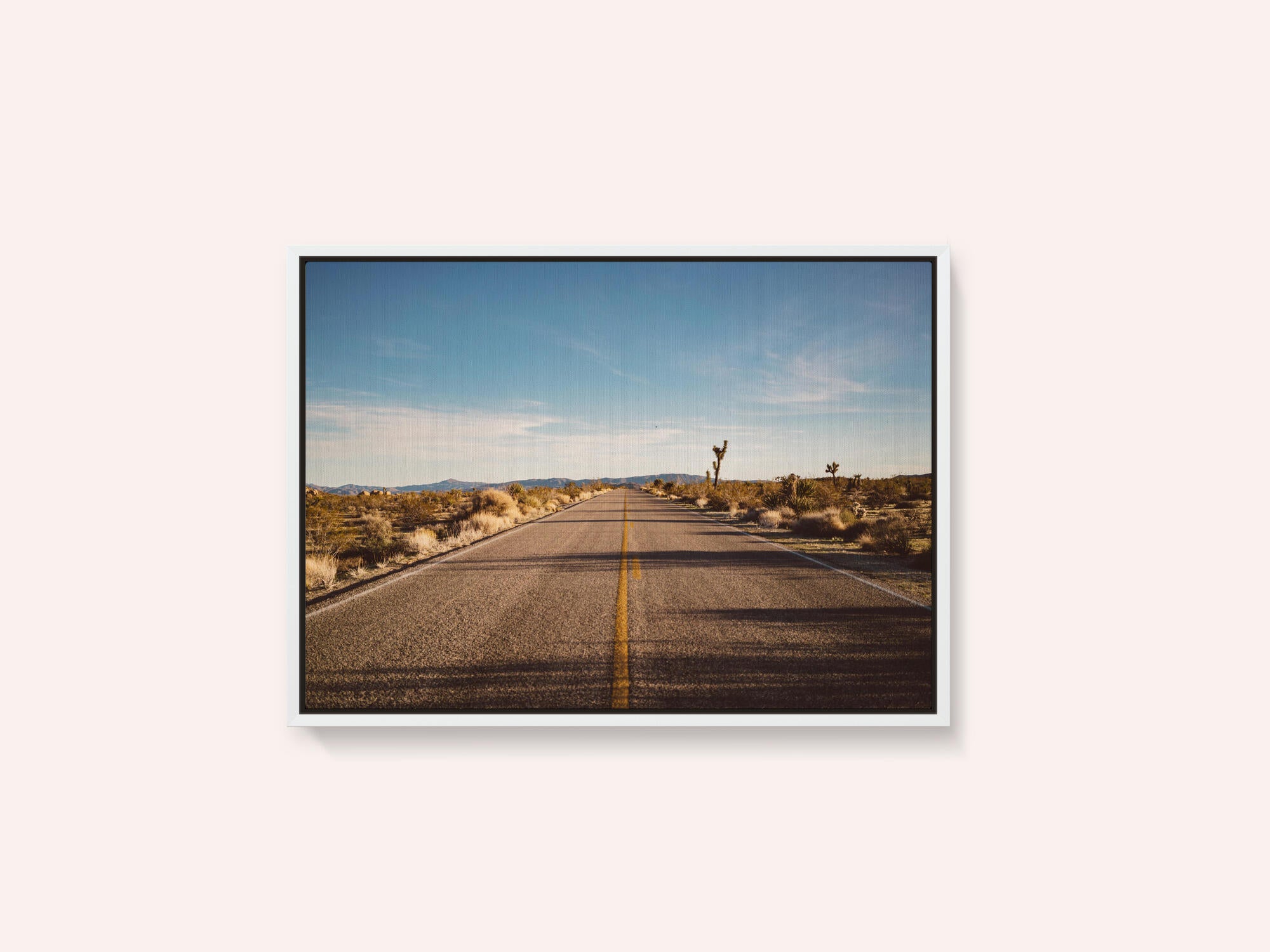 Joshua Tree Road