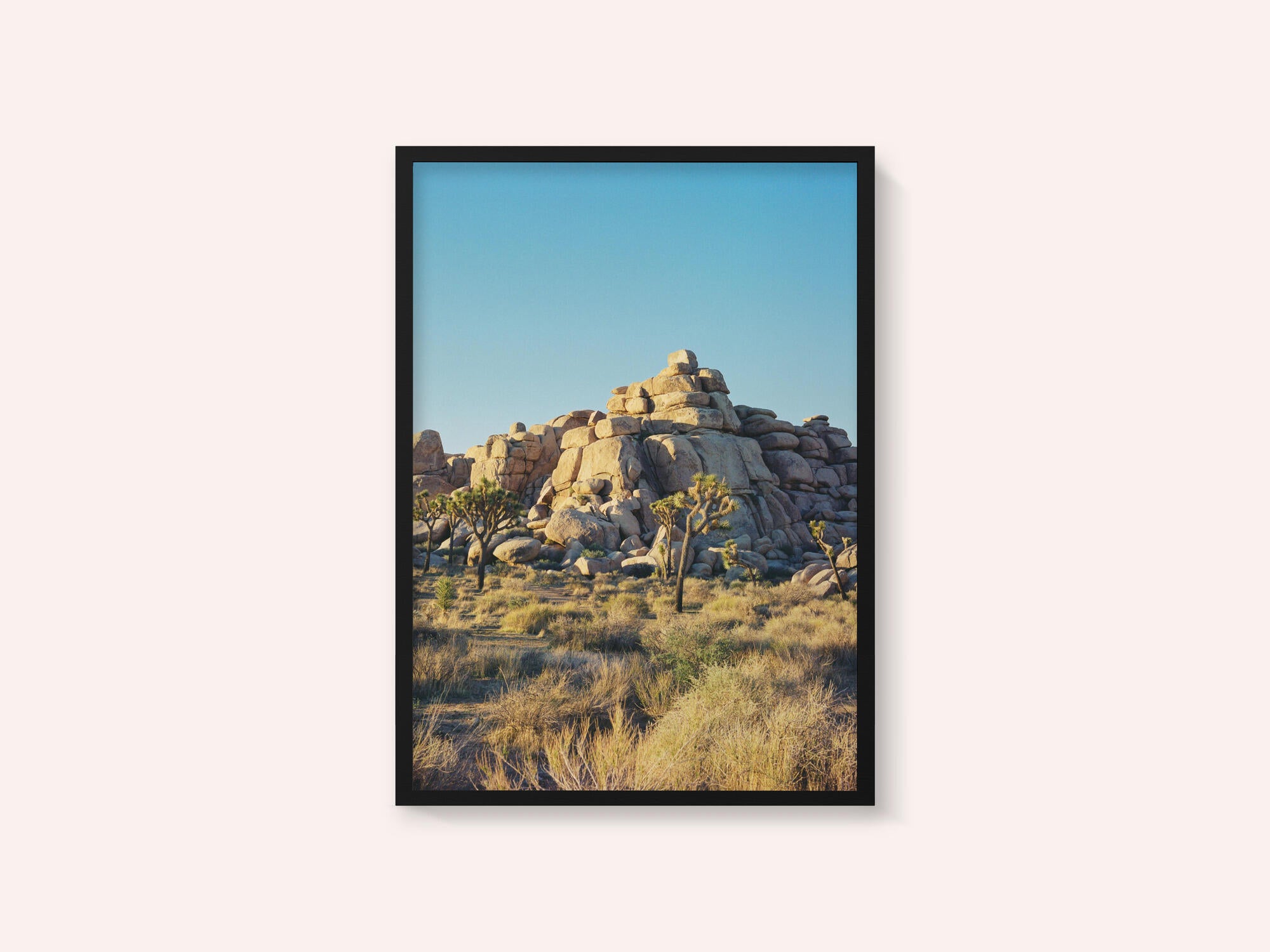 Joshua Tree Sunset