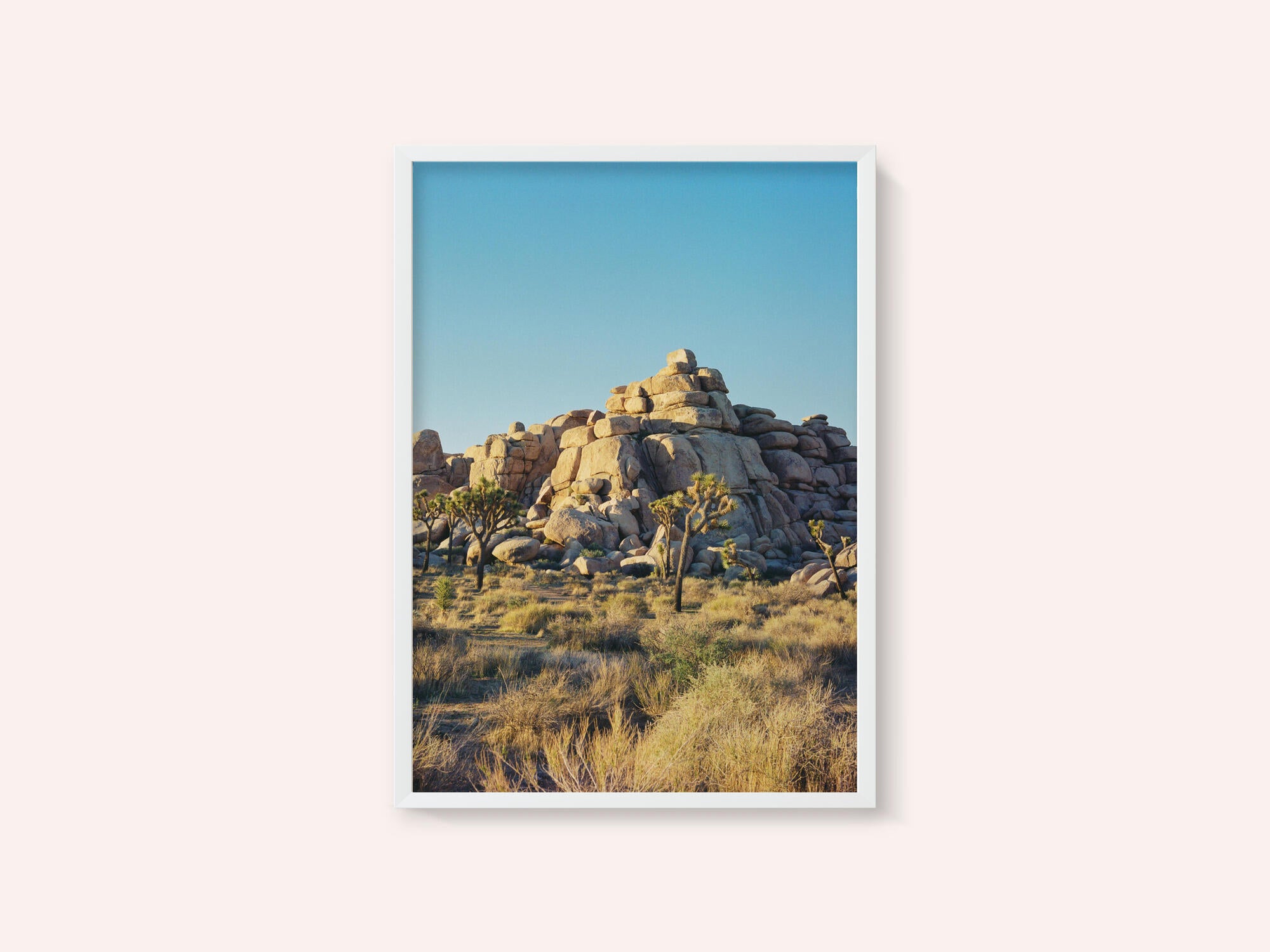 Joshua Tree Sunset