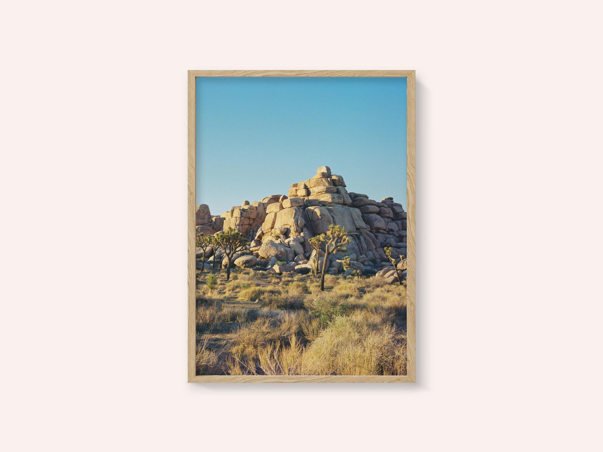 Joshua Tree Sunset