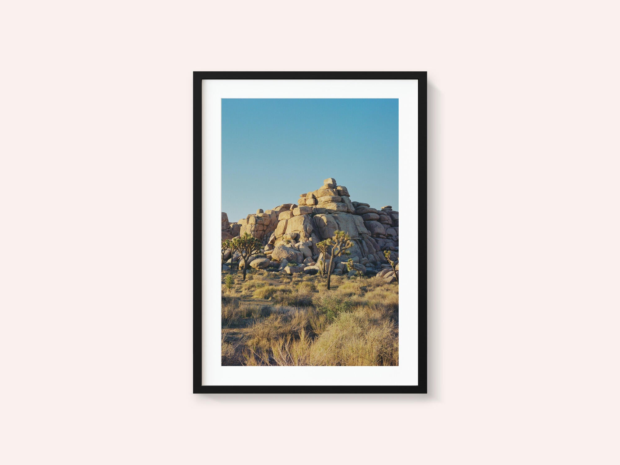 Joshua Tree Sunset