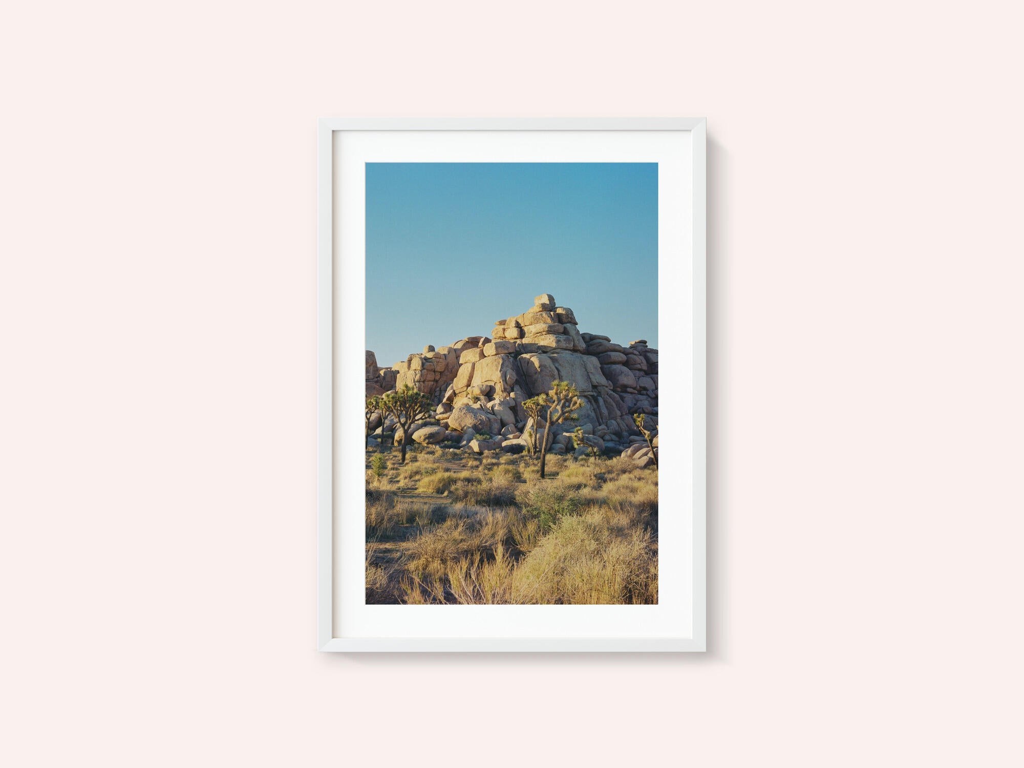 Joshua Tree Sunset