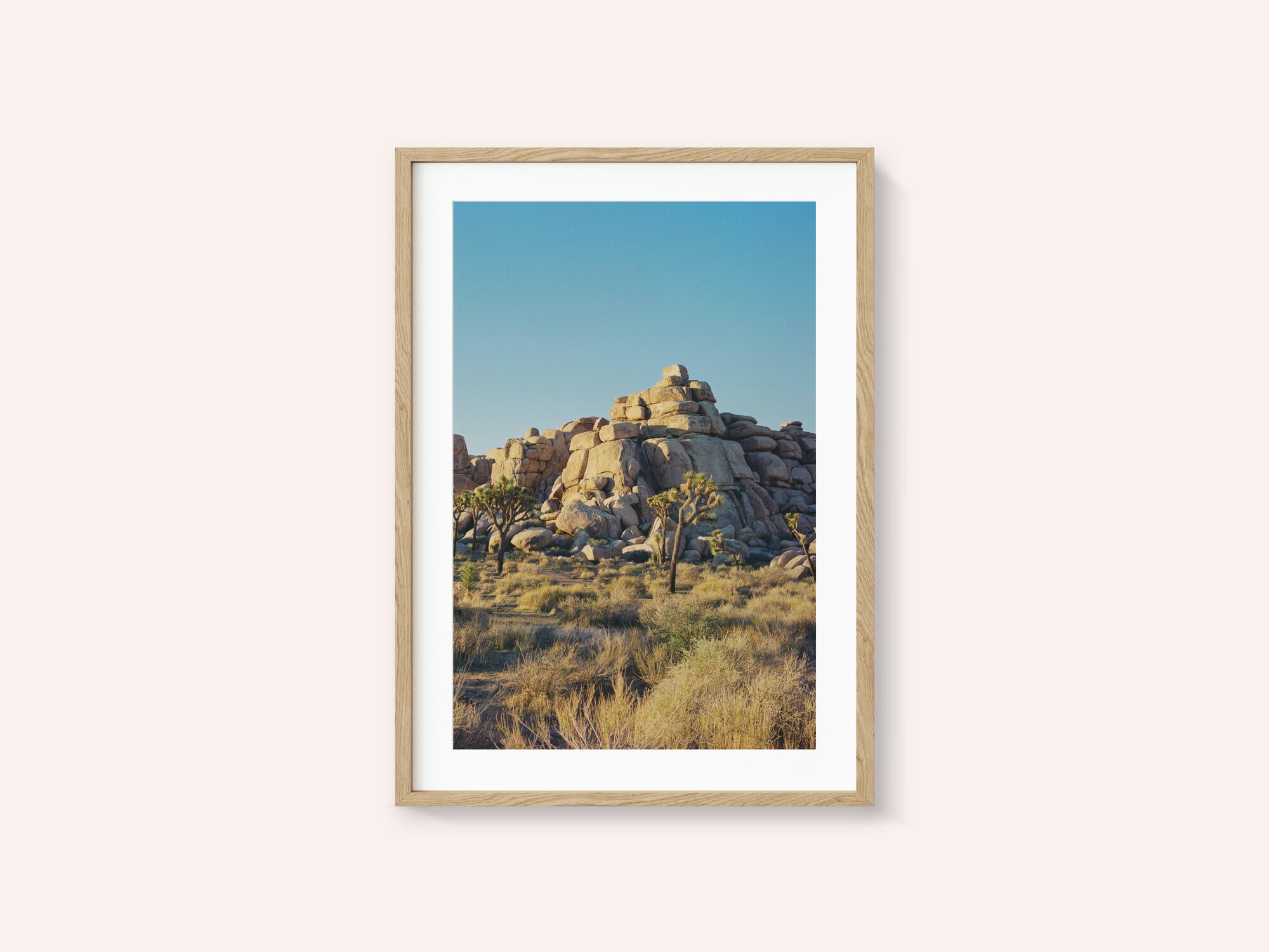 Joshua Tree Sunset
