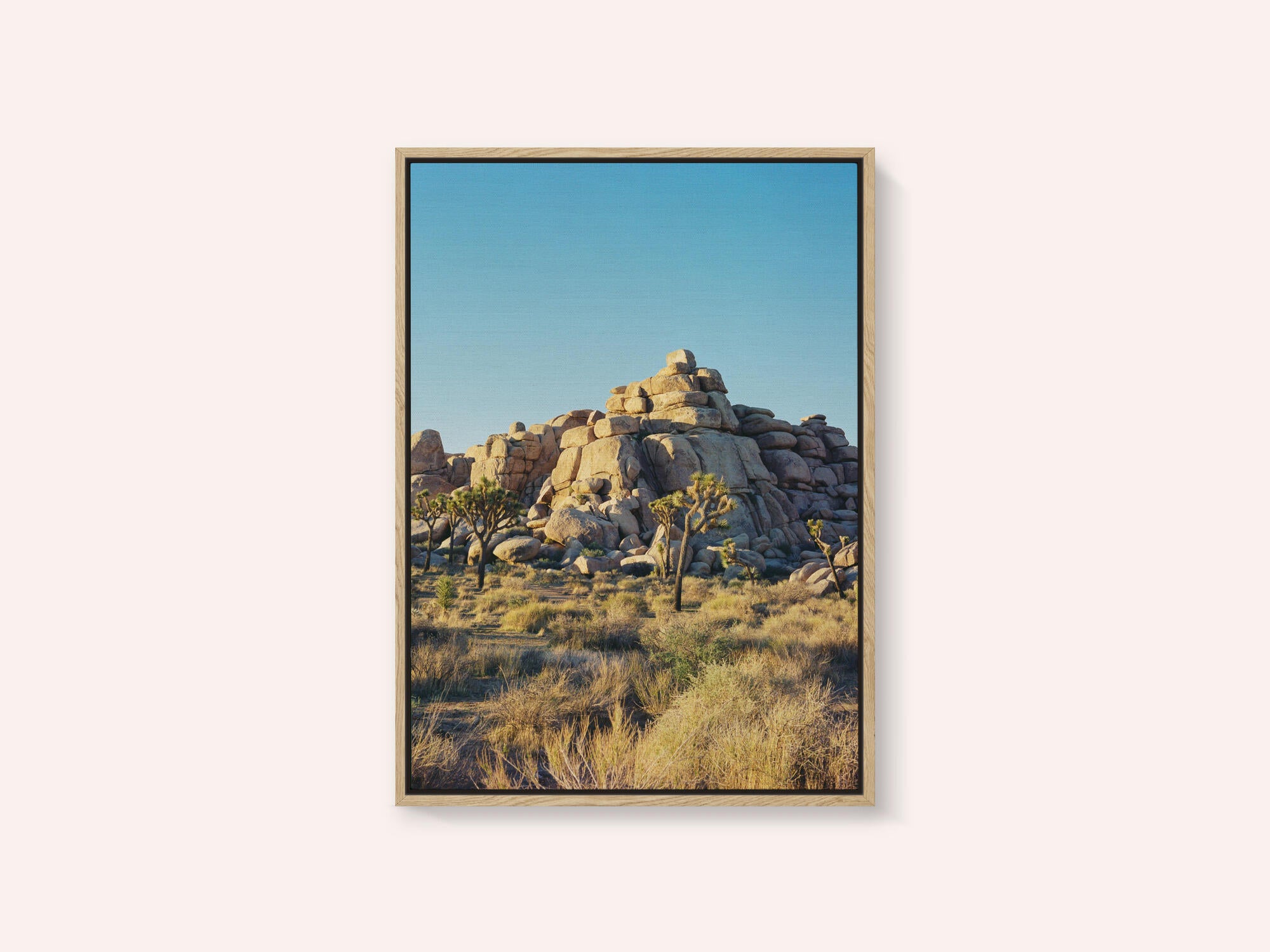 Joshua Tree Sunset