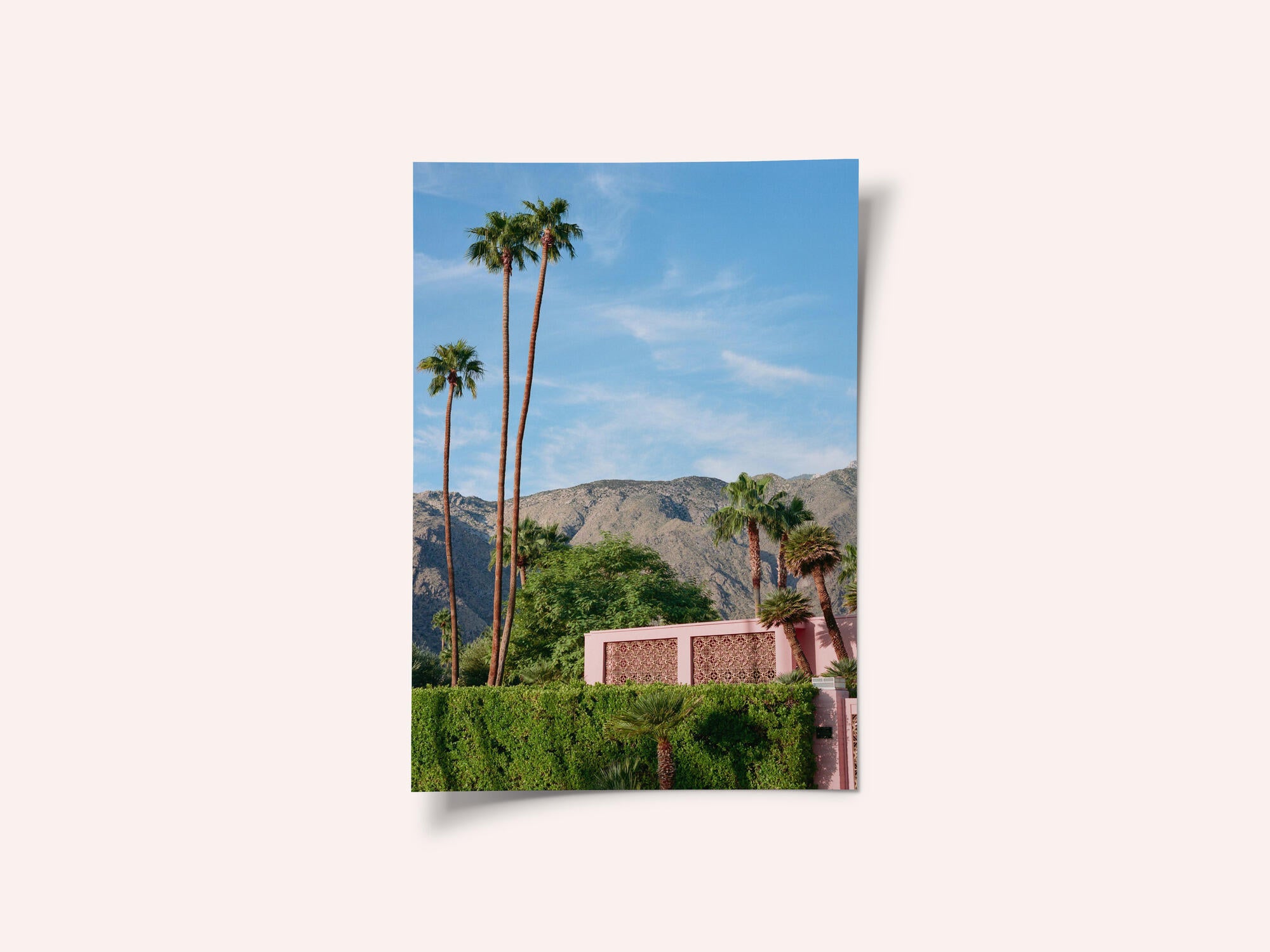 Palm Springs Pink House