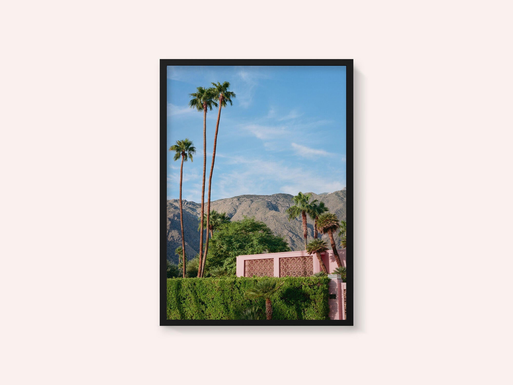 Palm Springs Pink House
