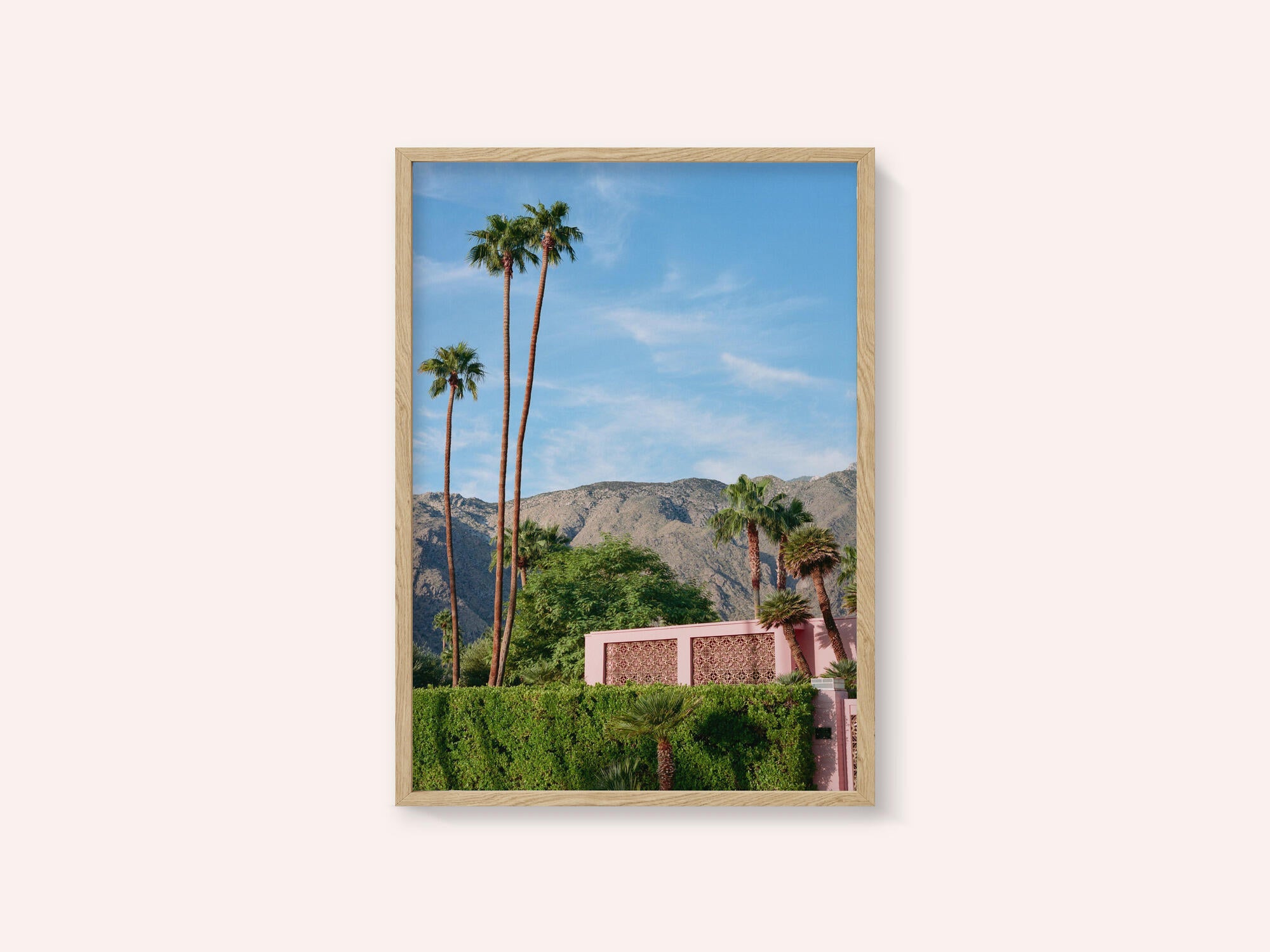 Palm Springs Pink House