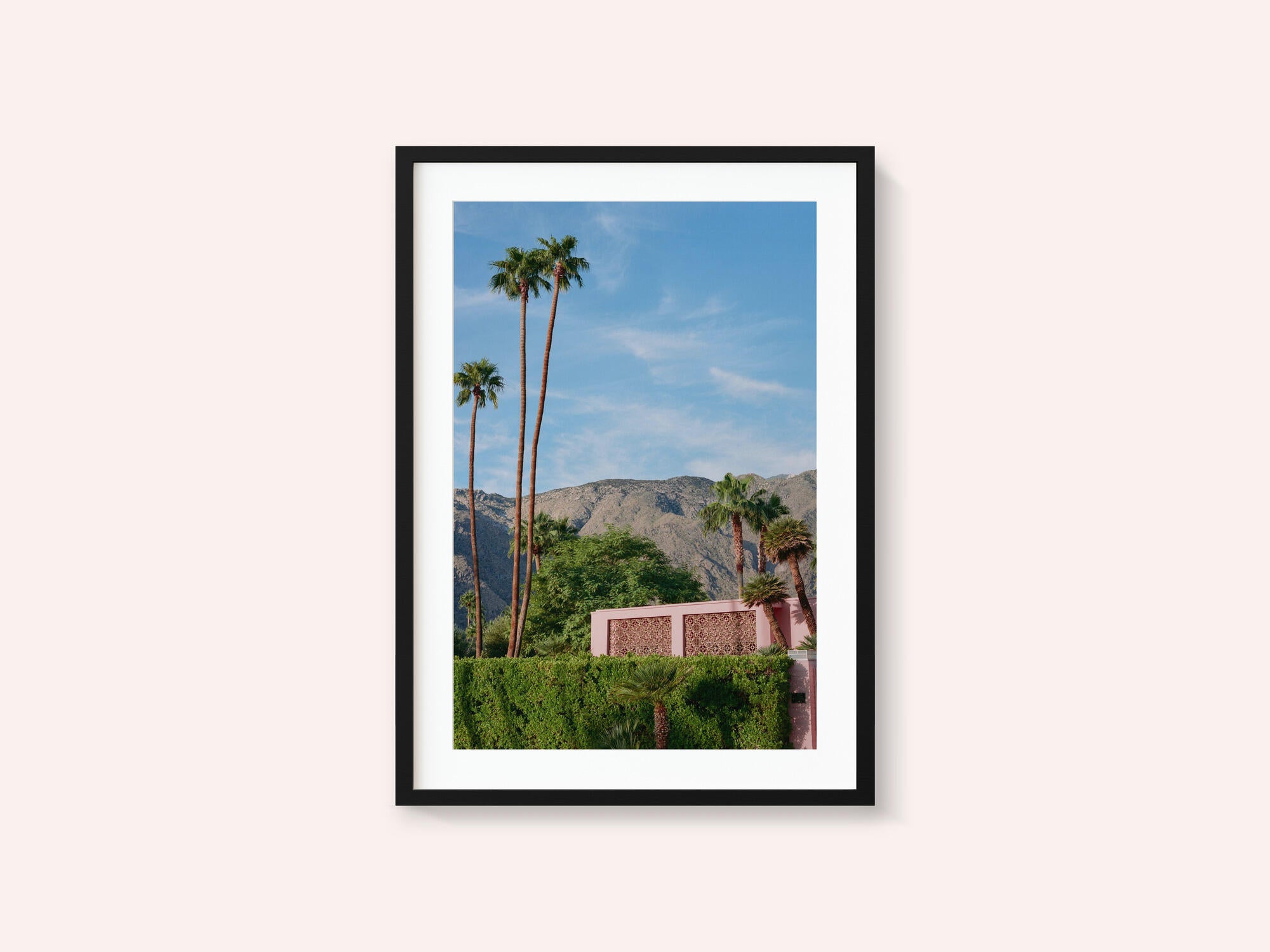 Palm Springs Pink House