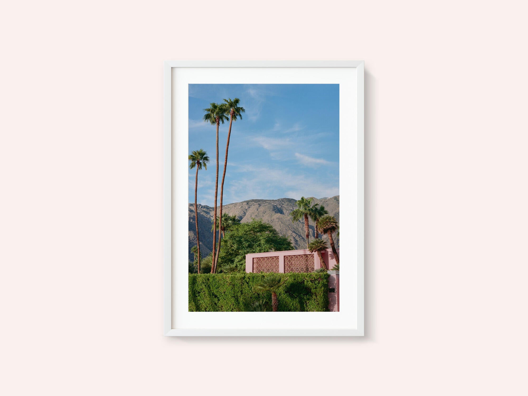Palm Springs Pink House