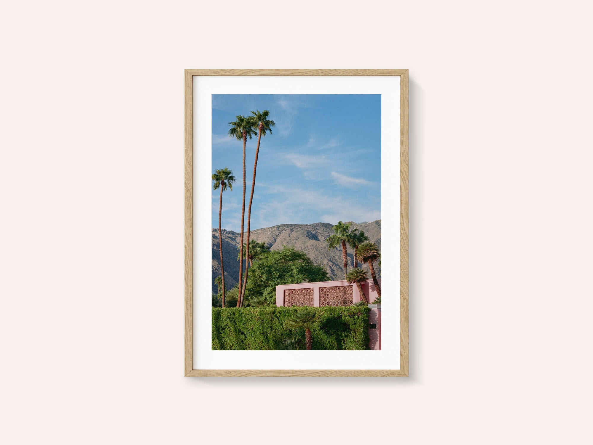 Palm Springs Pink House