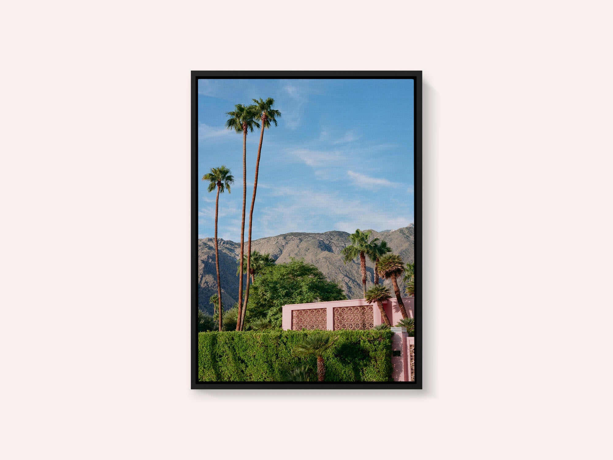 Palm Springs Pink House
