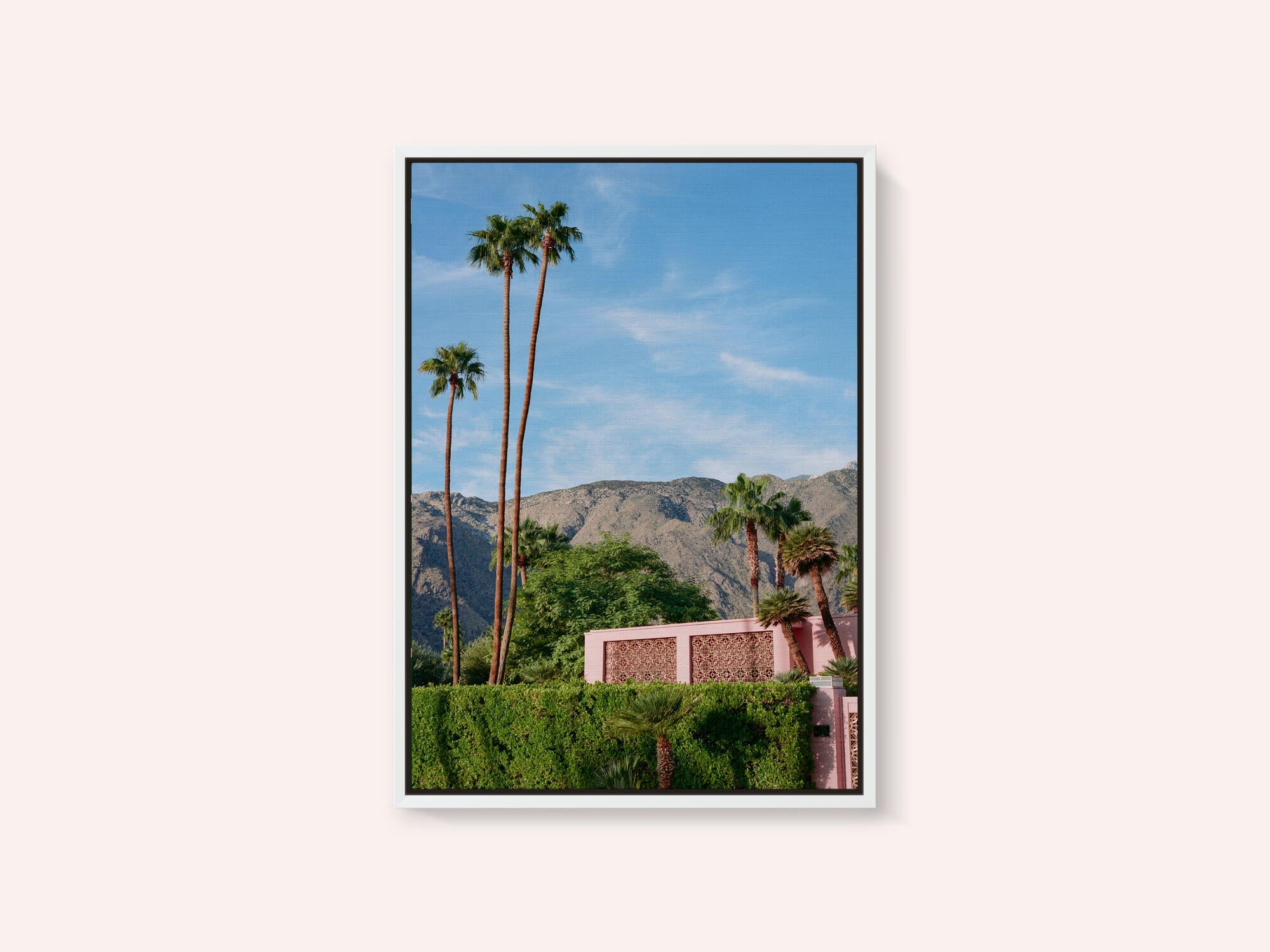 Palm Springs Pink House
