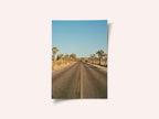 Joshua Tree Road II