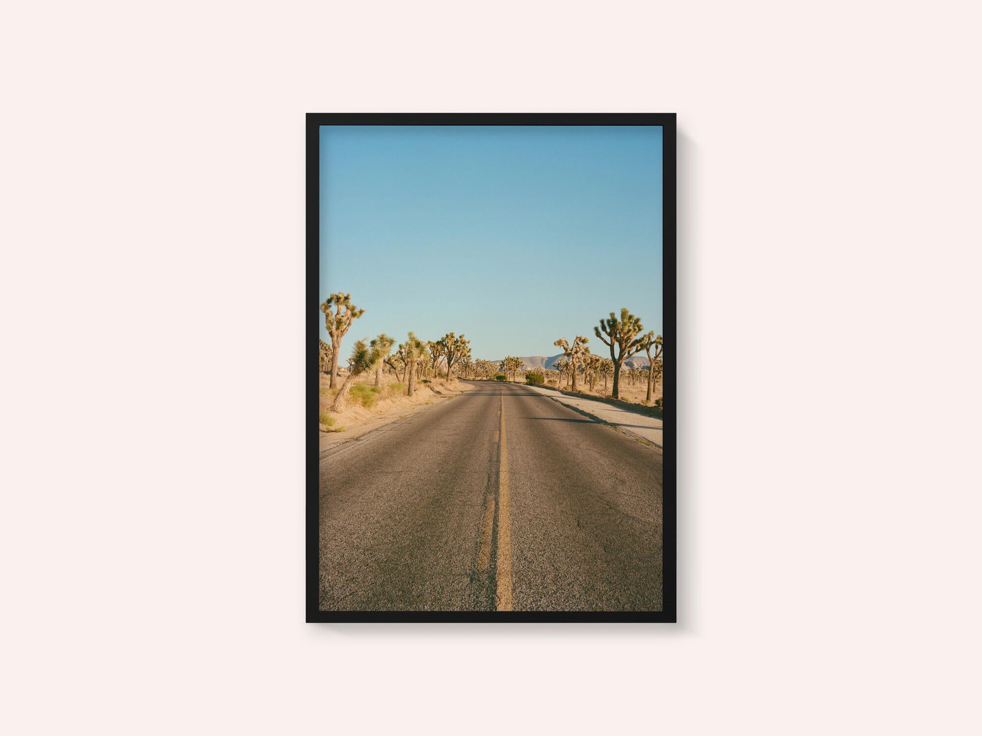 Joshua Tree Road II