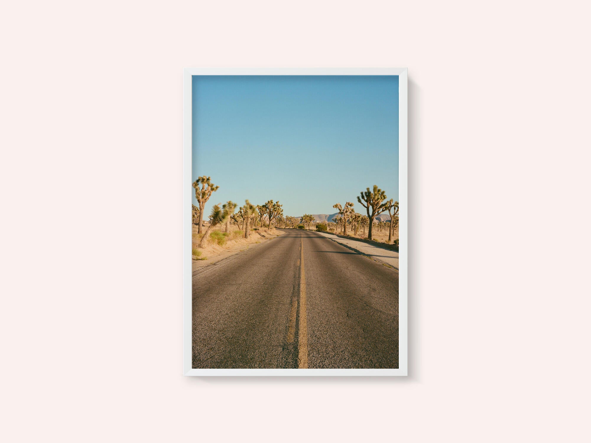 Joshua Tree Road II