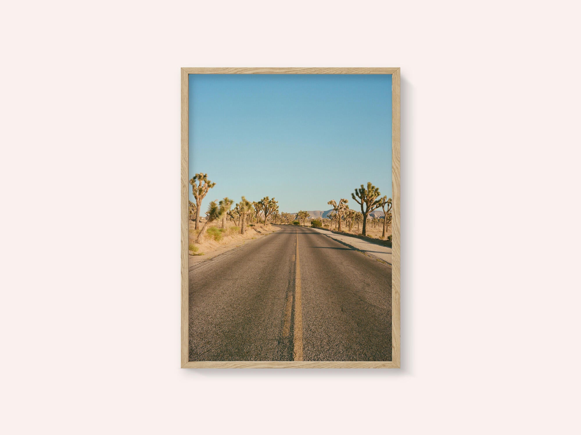 Joshua Tree Road II